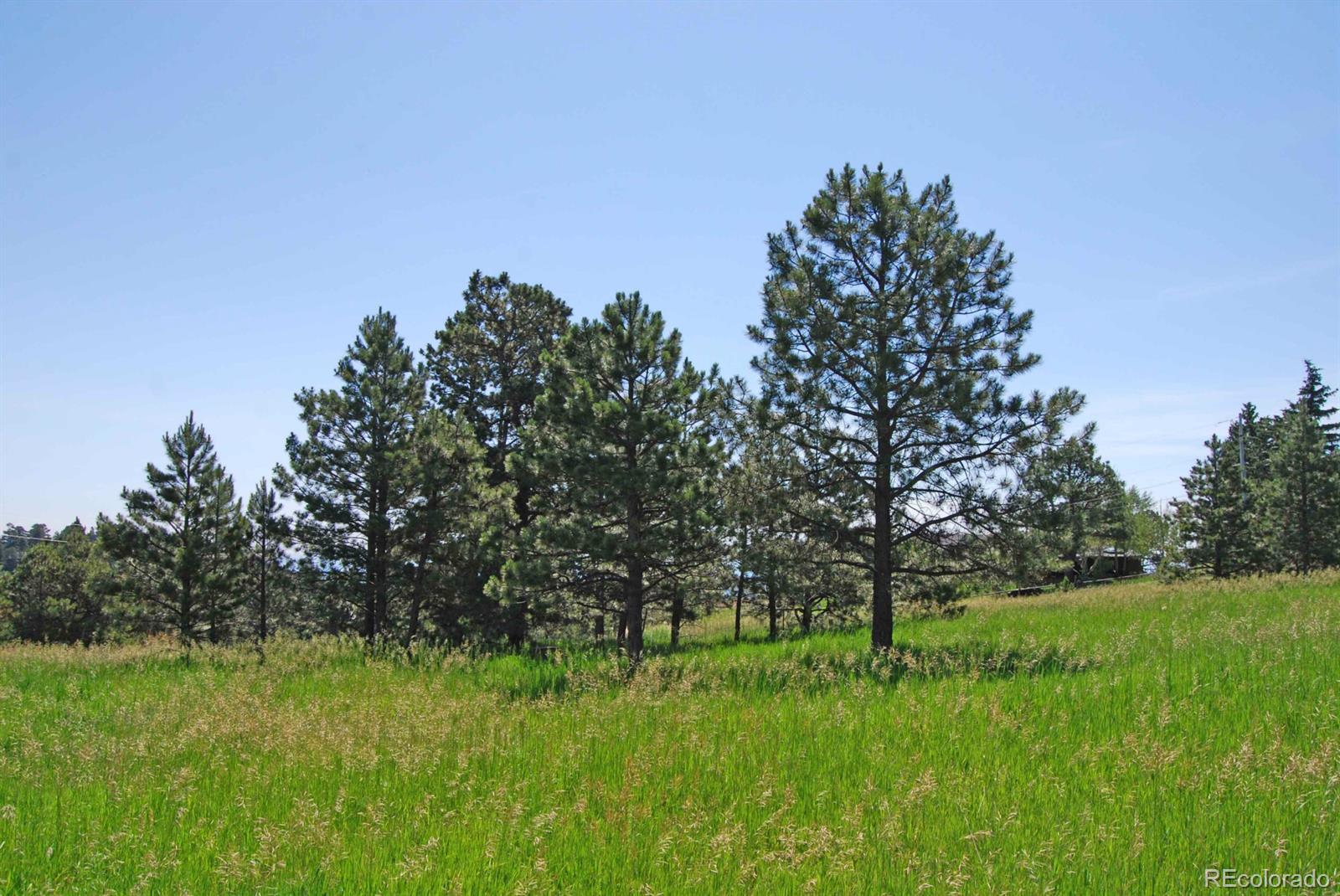 43 Paradise Road Golden, CO 80401 - Photo 4 of 11 Gallery Image 4