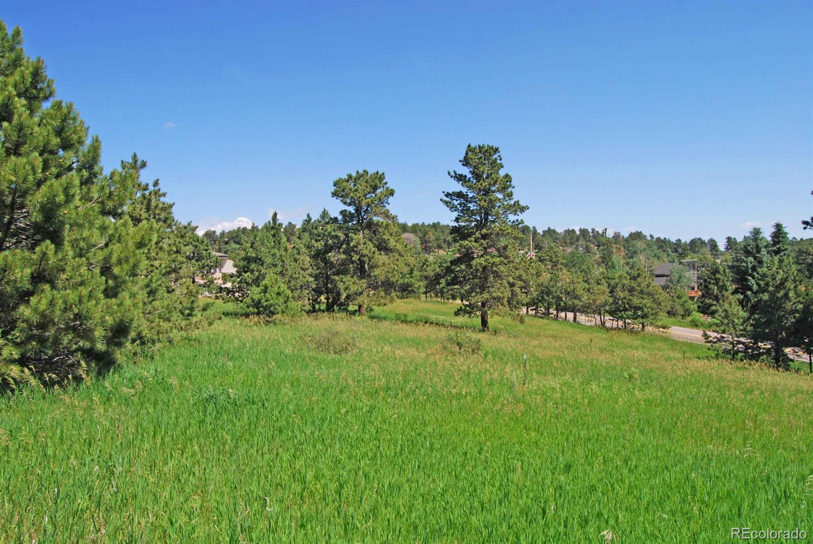 43 Paradise Road Golden, CO 80401 - Photo 8 of 11 Gallery Image 8