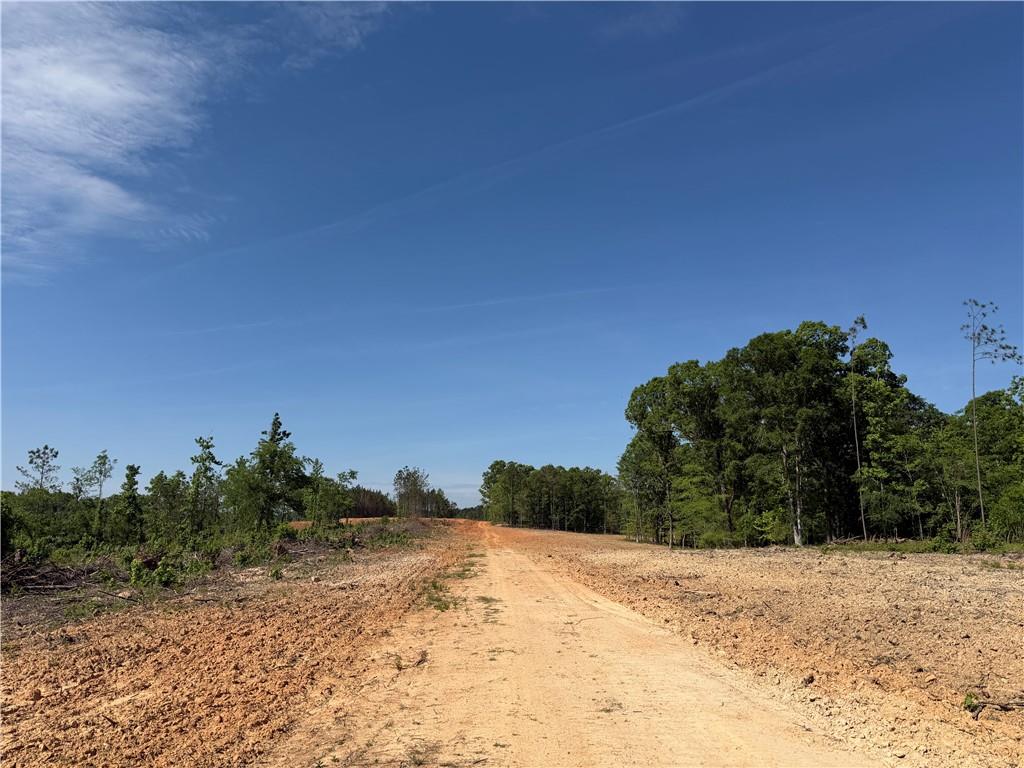 1000 Hidden Harbor Road Lincolnton, GA 30817 - Photo 41 of 45 Gallery Image 41