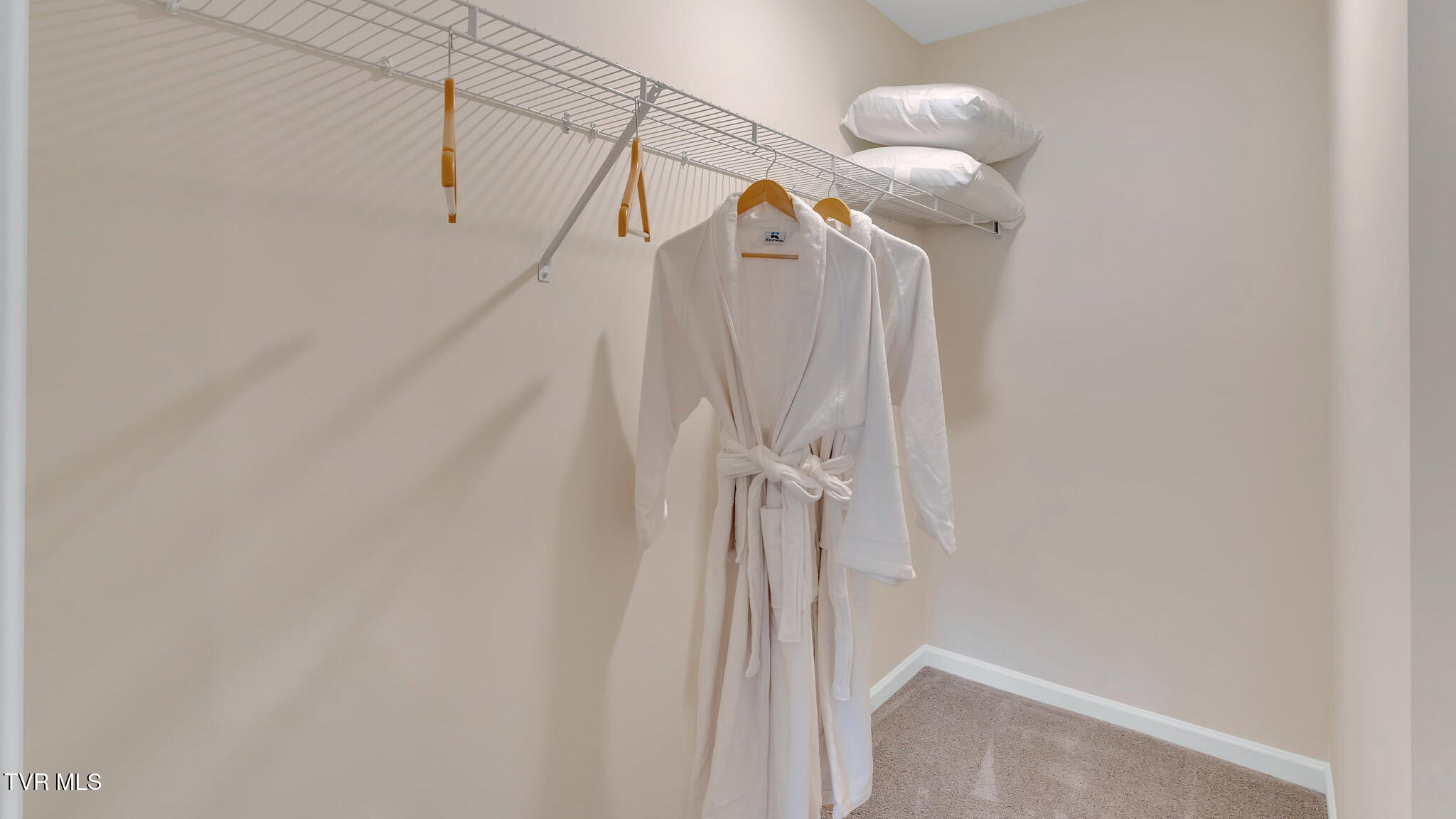1073 Edison Road Johnson City, TN 37615 - Photo 23 of 25 Primary Closet