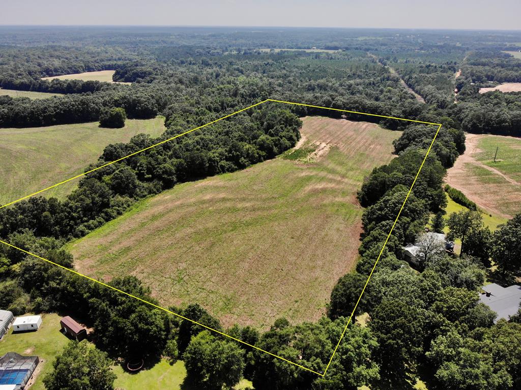 19-ac Ollie Pouncey Road Chancellor, AL 36316 - Photo 6 of 16