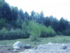 101 Stone Hollow Road Londonderry, VT 05148 - Photo 3 of 5 Gallery Image 3