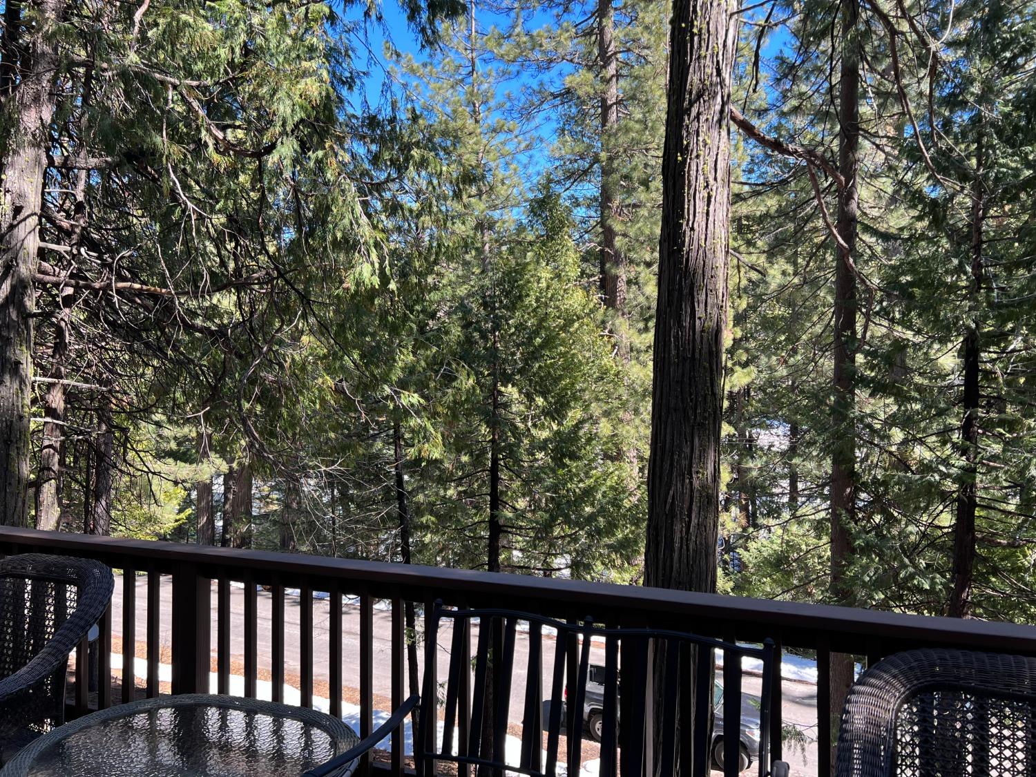 26445 Crystal Road Long Barn, CA 95335 - Photo 17 of 22 a view of a forest from balcony