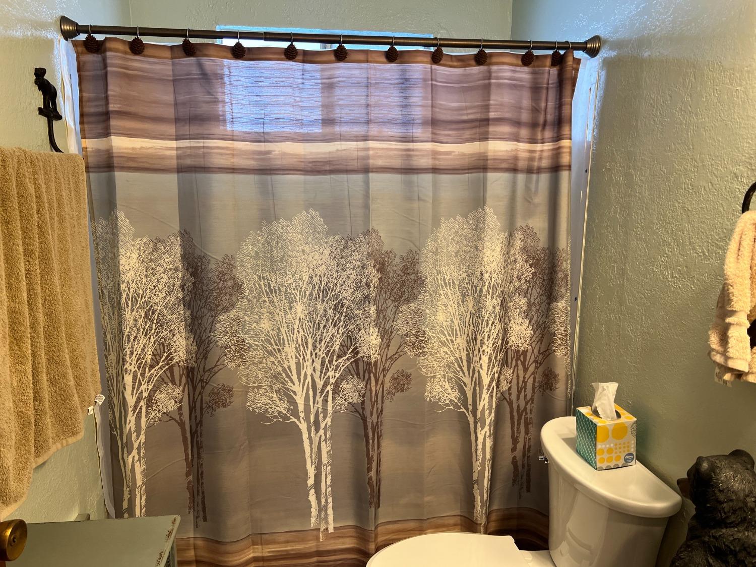 26445 Crystal Road Long Barn, CA 95335 - Photo 4 of 22 a bathroom with a shower curtain and a toilet