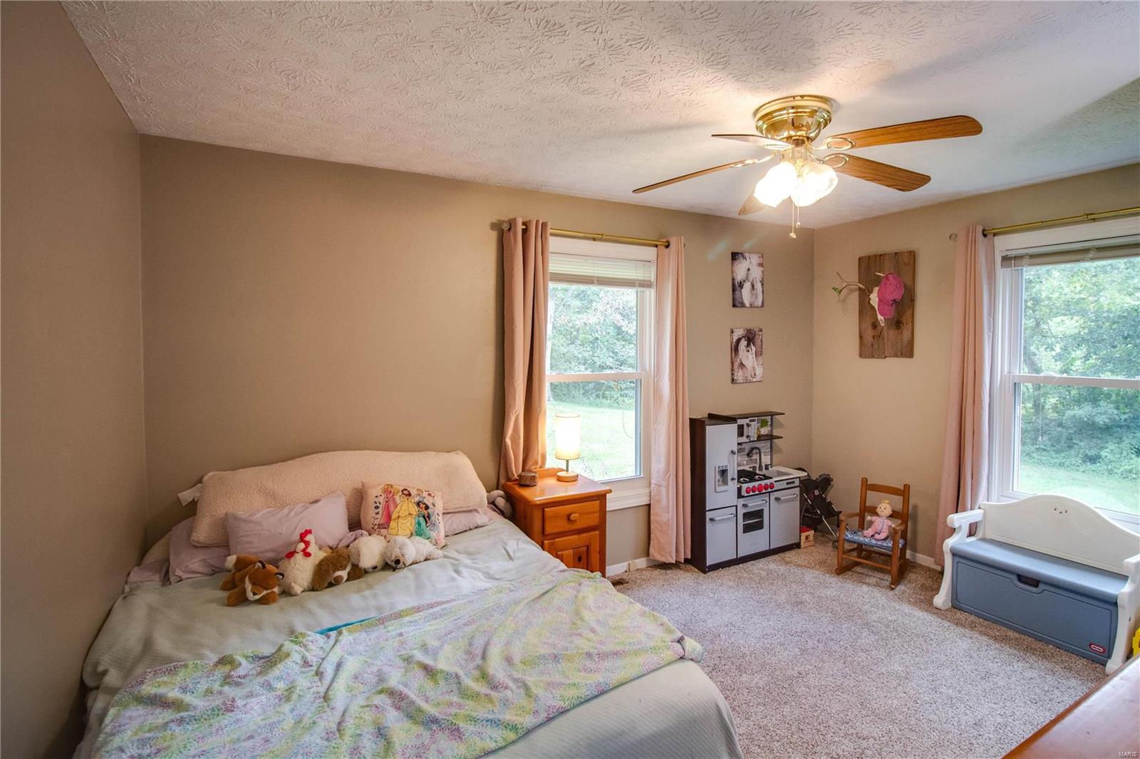 34753 Terpening Road Brighton, IL 62012 - Photo 30 of 86