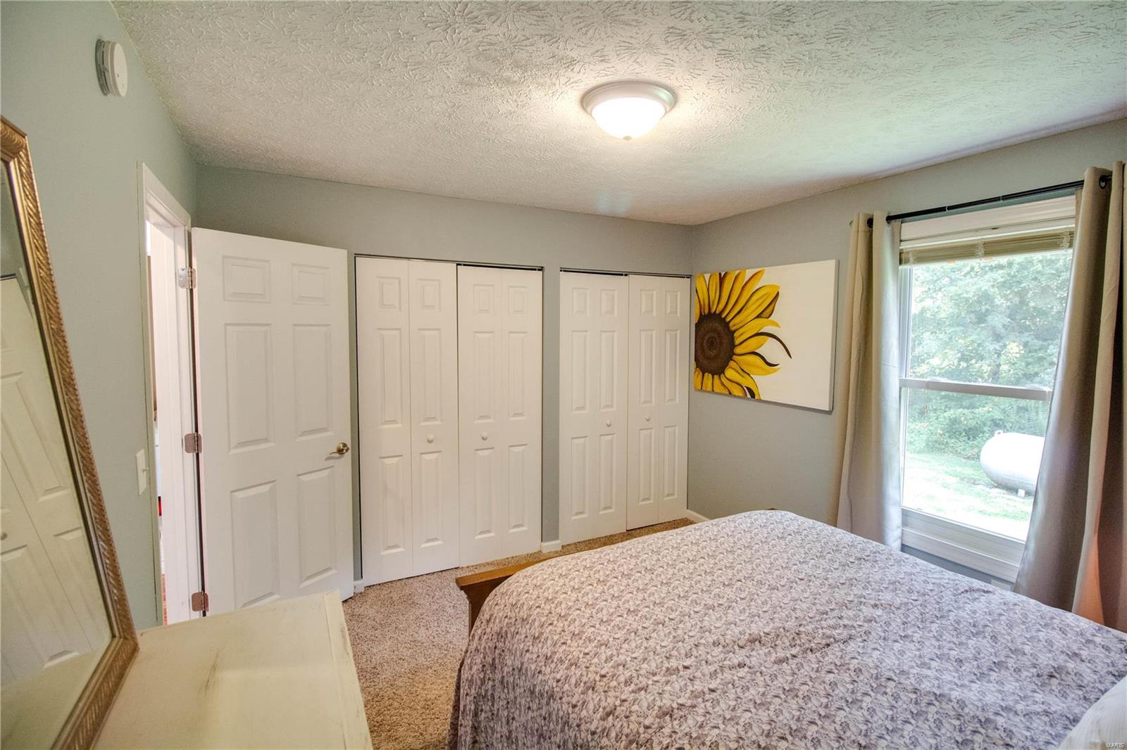 34753 Terpening Road Brighton, IL 62012 - Photo 33 of 86