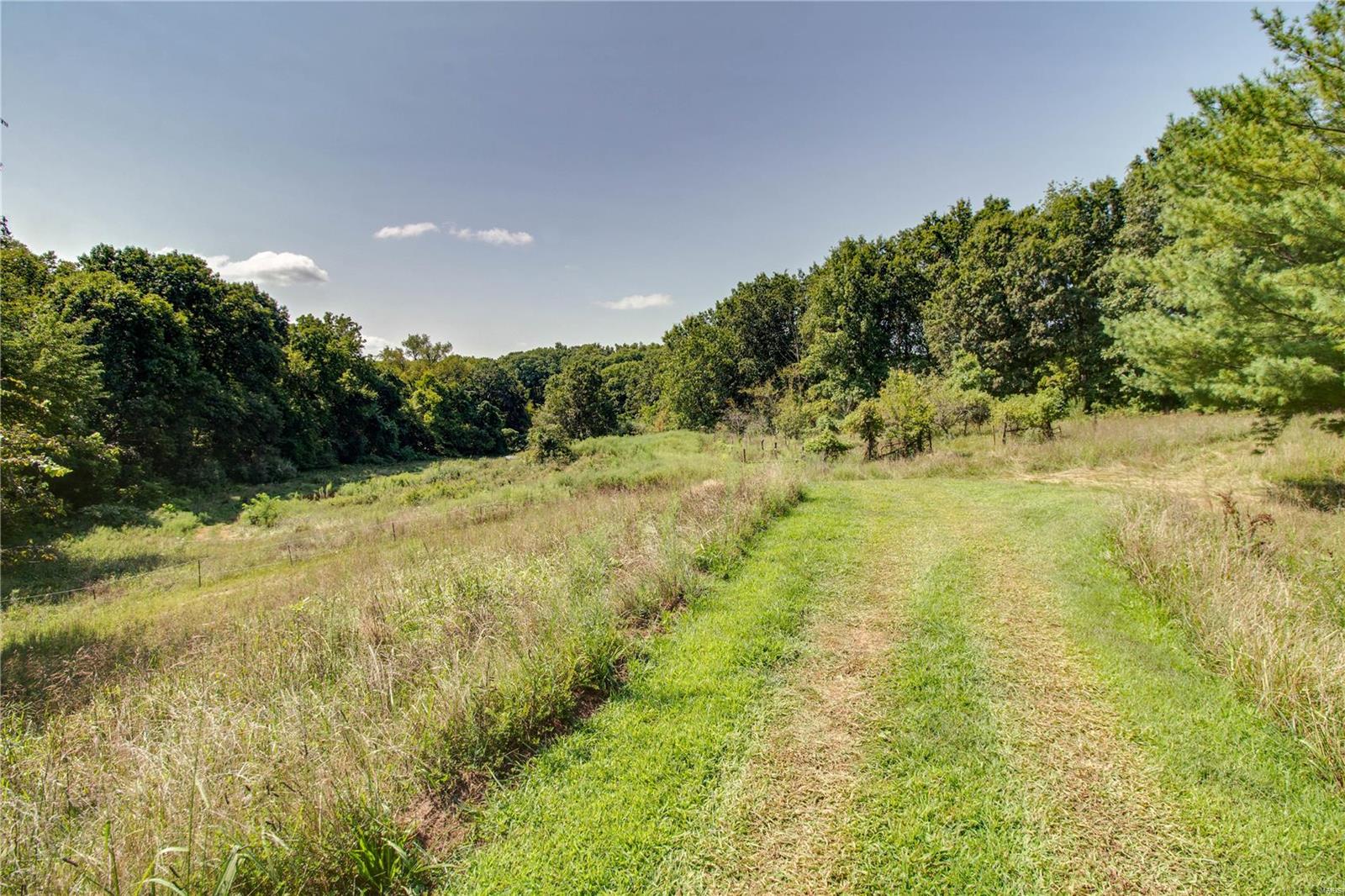 34753 Terpening Road Brighton, IL 62012 - Photo 75 of 86