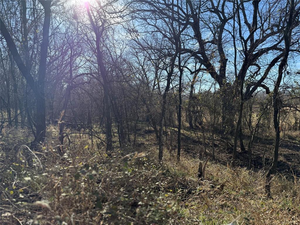 Lot 2-tbd Lot 2-tbd Hidden Valley Rd Valley View Valley View, TX 76272 - Photo 16 of 26