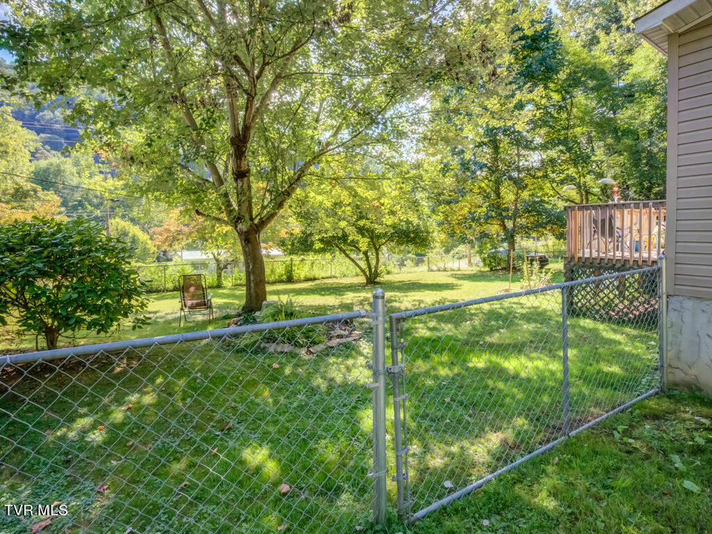 1302 Rittertown Road Hampton, TN 37658 - Photo 10 of 31 1302 Rittertown Rd MLS010