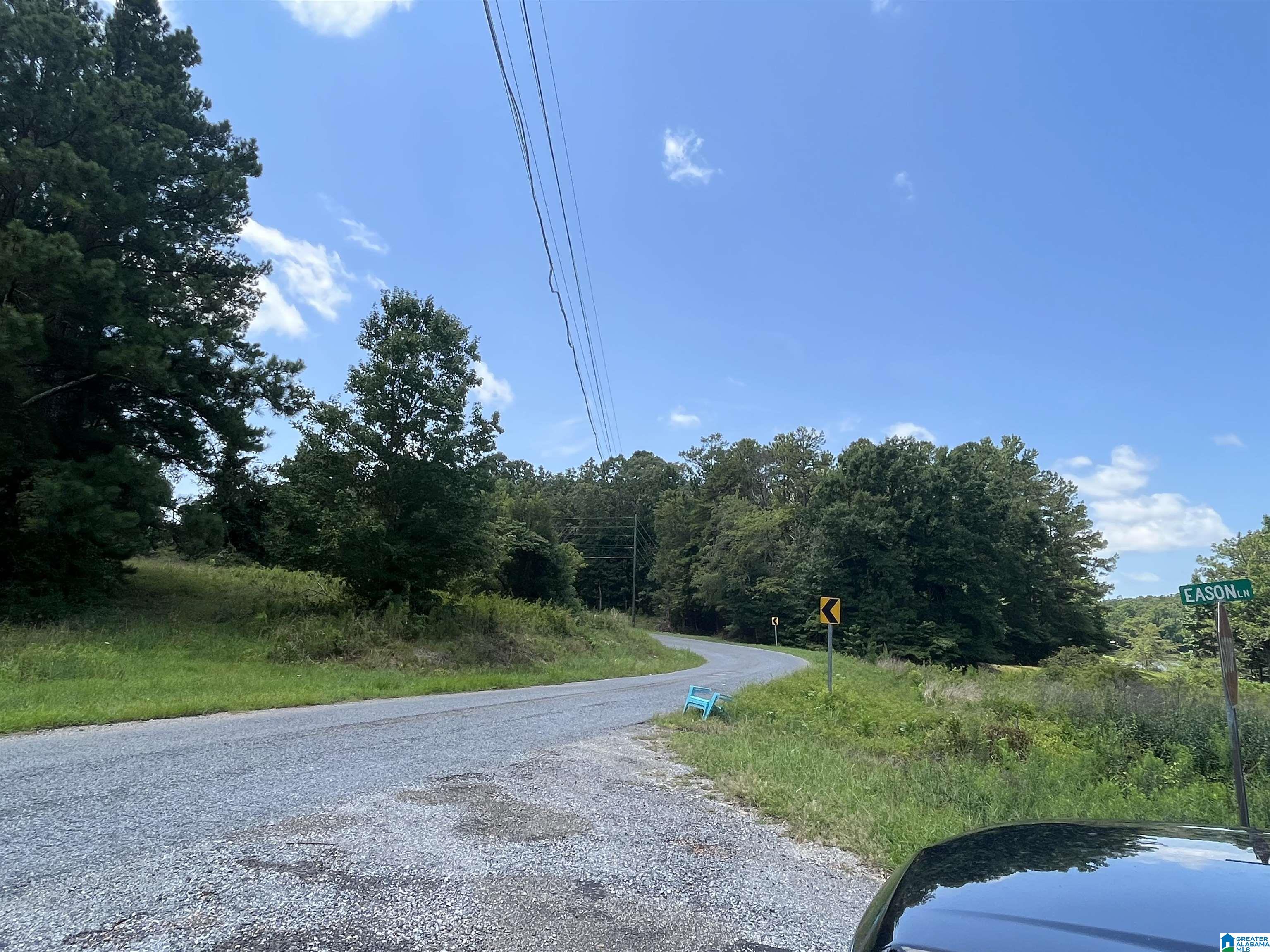 0 Meadow River Road, Unit 1 Talladega, AL 35160 - Photo 7 of 9