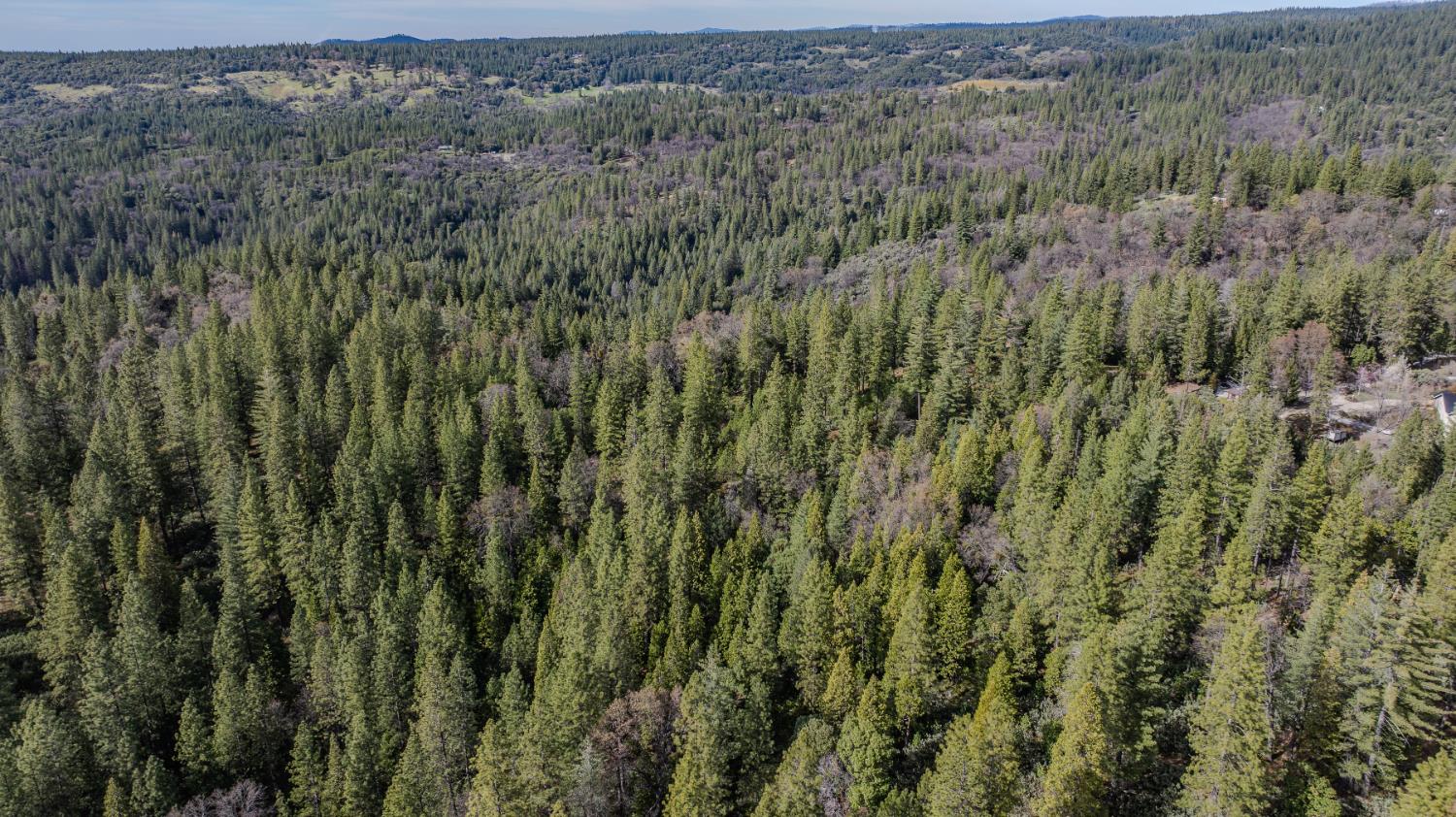 0 Volcano Trail Pioneer, CA 95666 - Photo 13 of 18