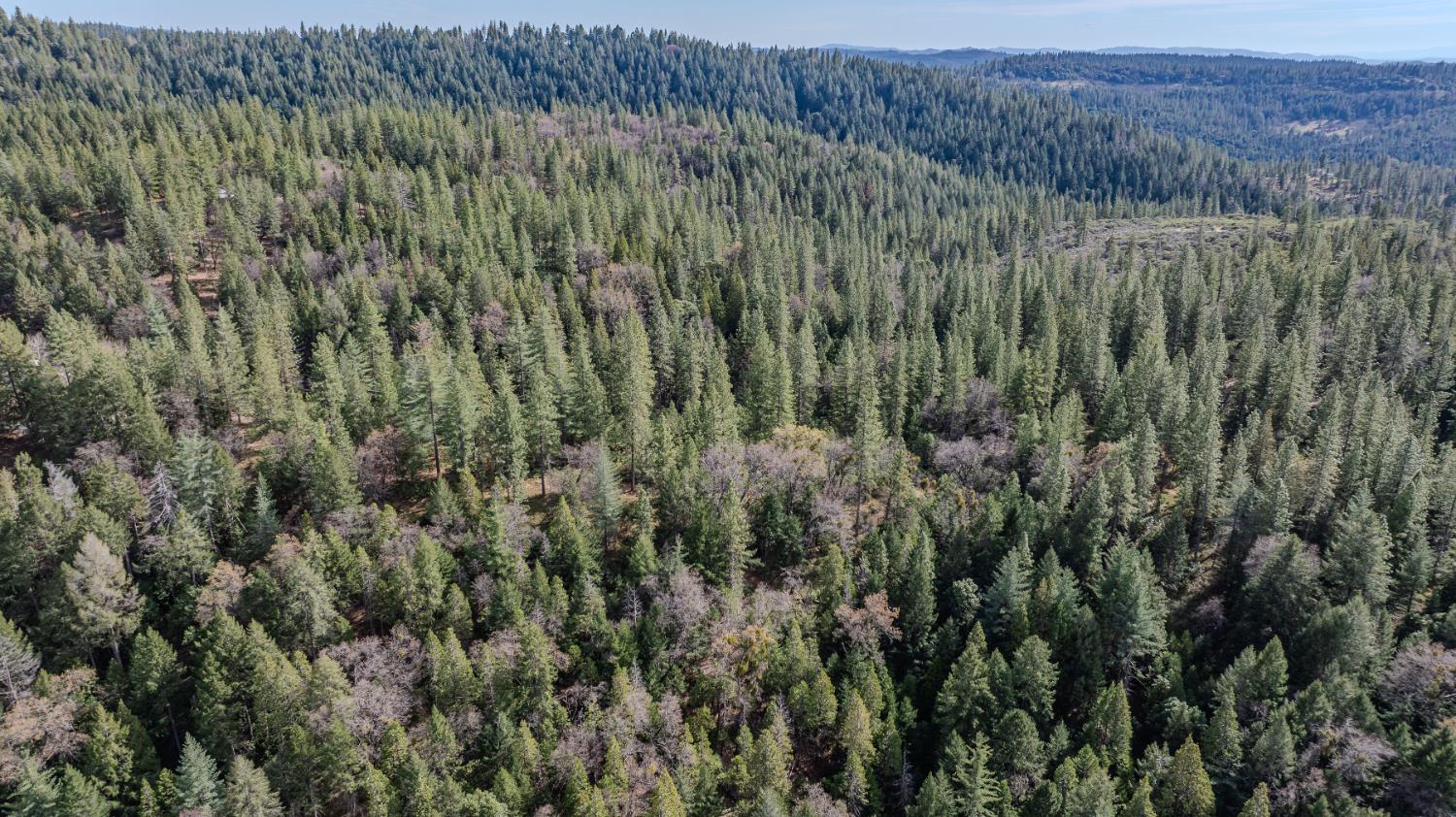 0 Volcano Trail Pioneer, CA 95666 - Photo 15 of 18