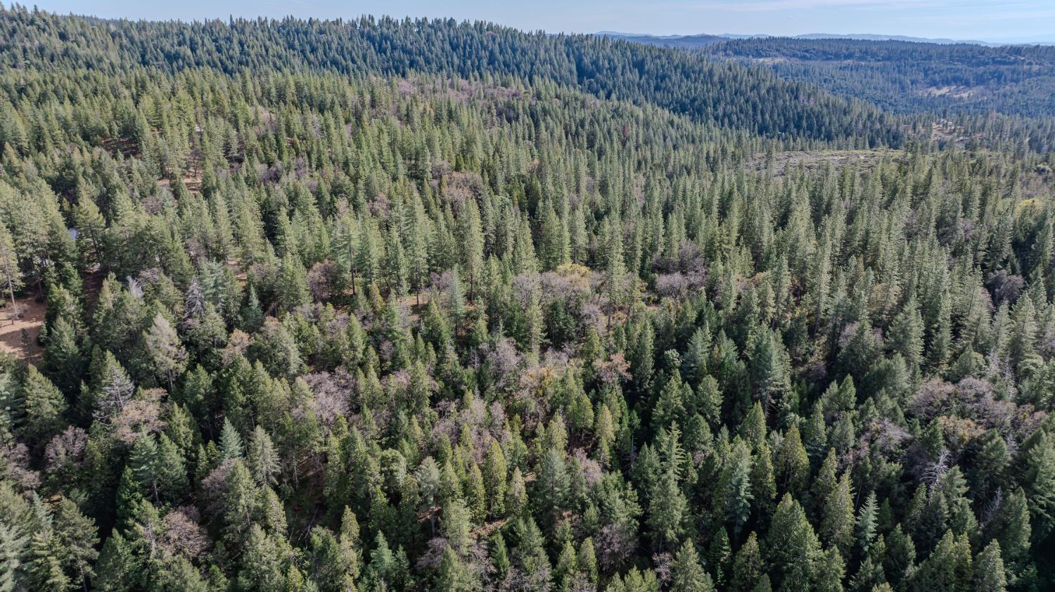 0 Volcano Trail Pioneer, CA 95666 - Photo 16 of 18