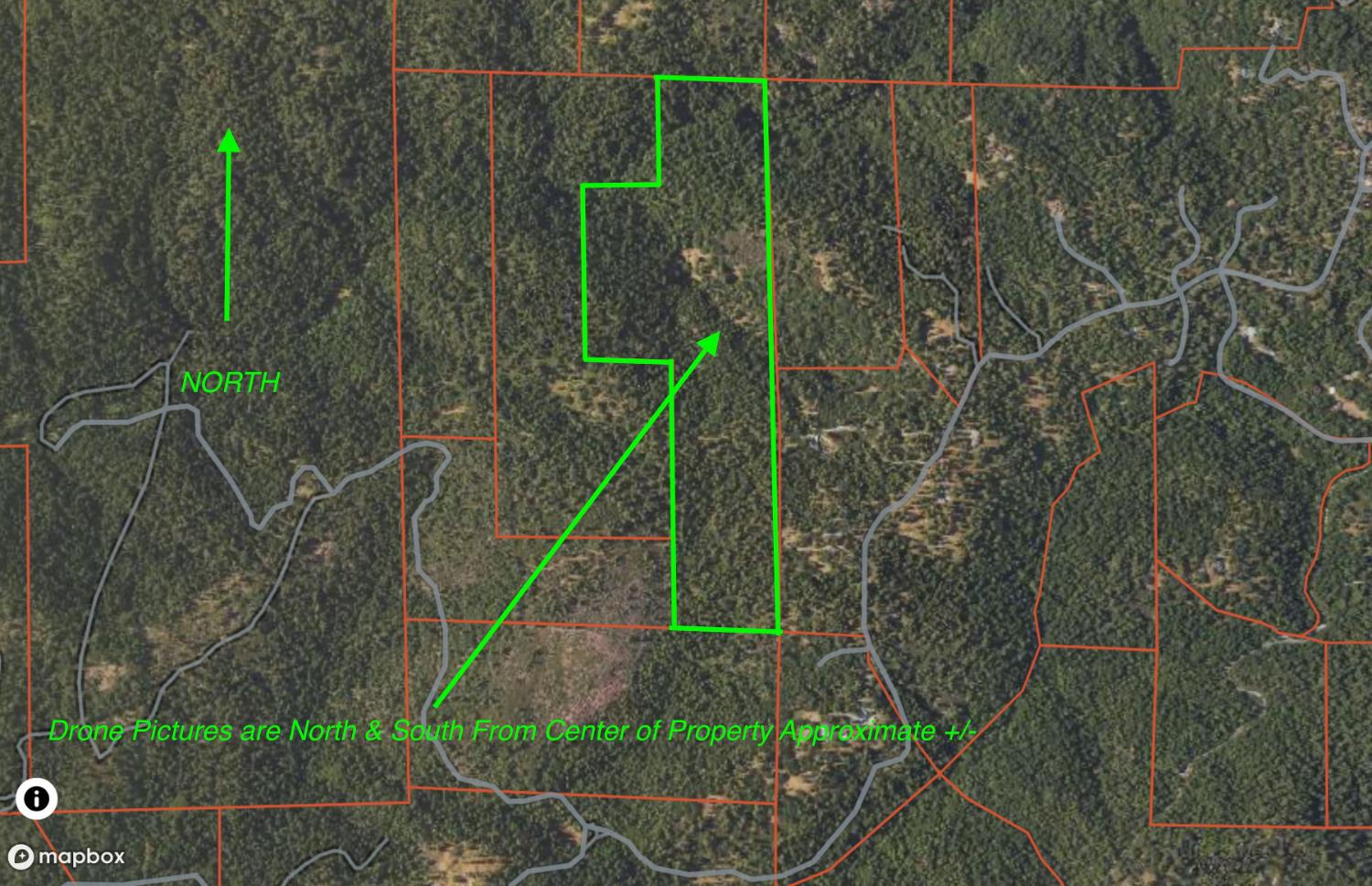 0 Volcano Trail Pioneer, CA 95666 - Photo 2 of 18