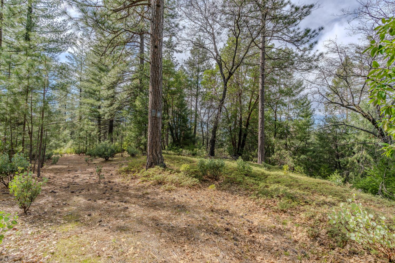 0 Volcano Trail Pioneer, CA 95666 - Photo 3 of 18