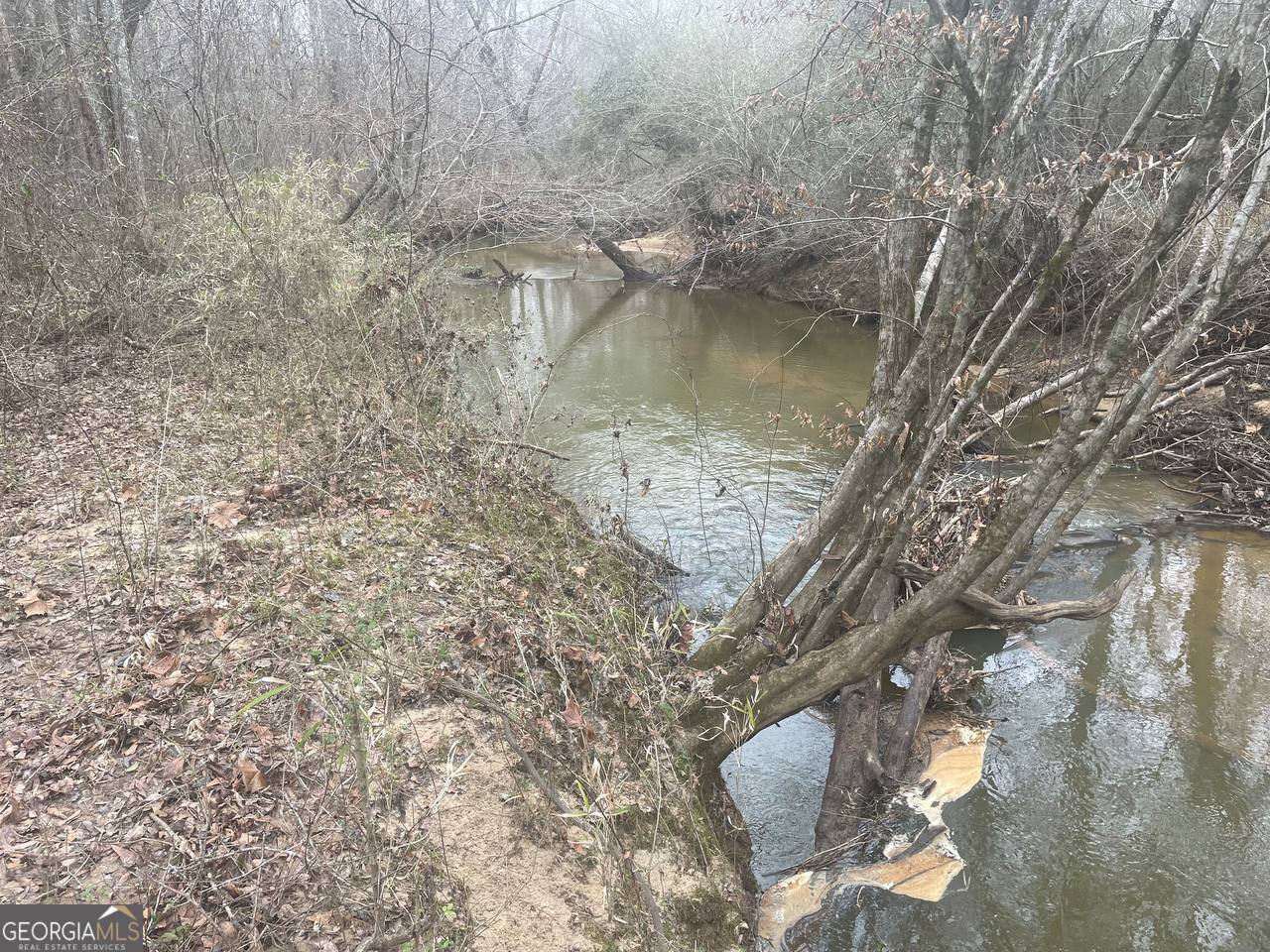 798 Williamson Road Tallapoosa, GA 30176 - Photo 12 of 73