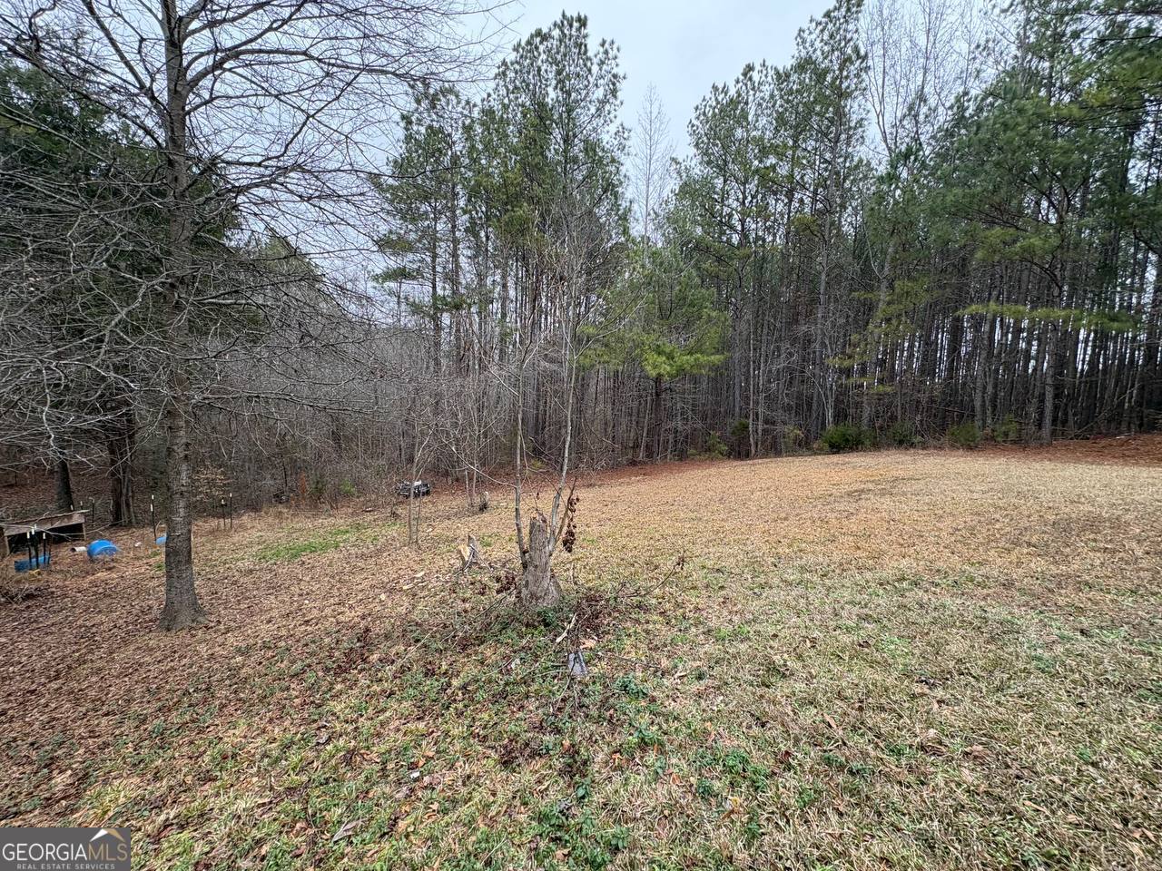 798 Williamson Road Tallapoosa, GA 30176 - Photo 17 of 73 a street view covered with snow
