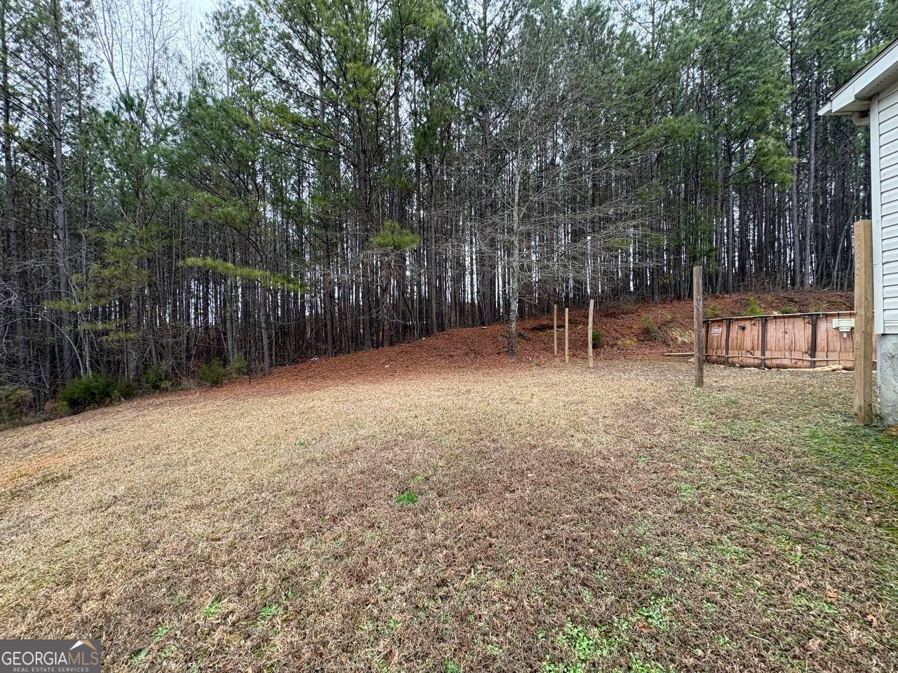 798 Williamson Road Tallapoosa, GA 30176 - Photo 19 of 73 a backyard of a house with large trees and wooden fence
