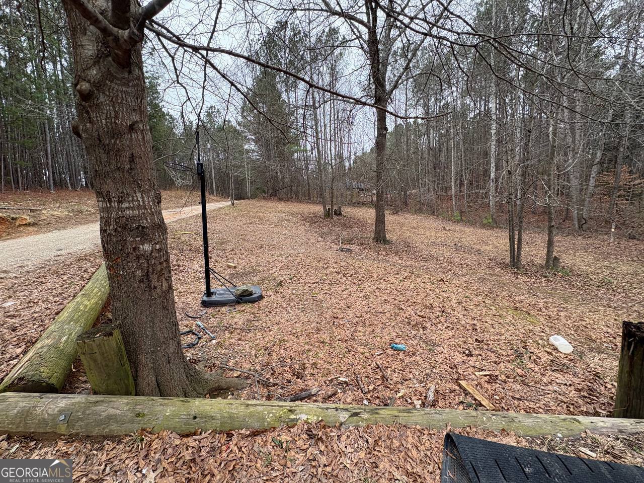798 Williamson Road Tallapoosa, GA 30176 - Photo 2 of 73 a view of a forest filled with trees