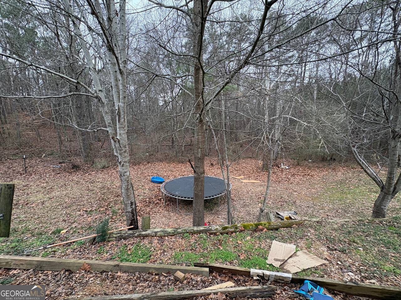 798 Williamson Road Tallapoosa, GA 30176 - Photo 24 of 73 a view of a backyard of the house