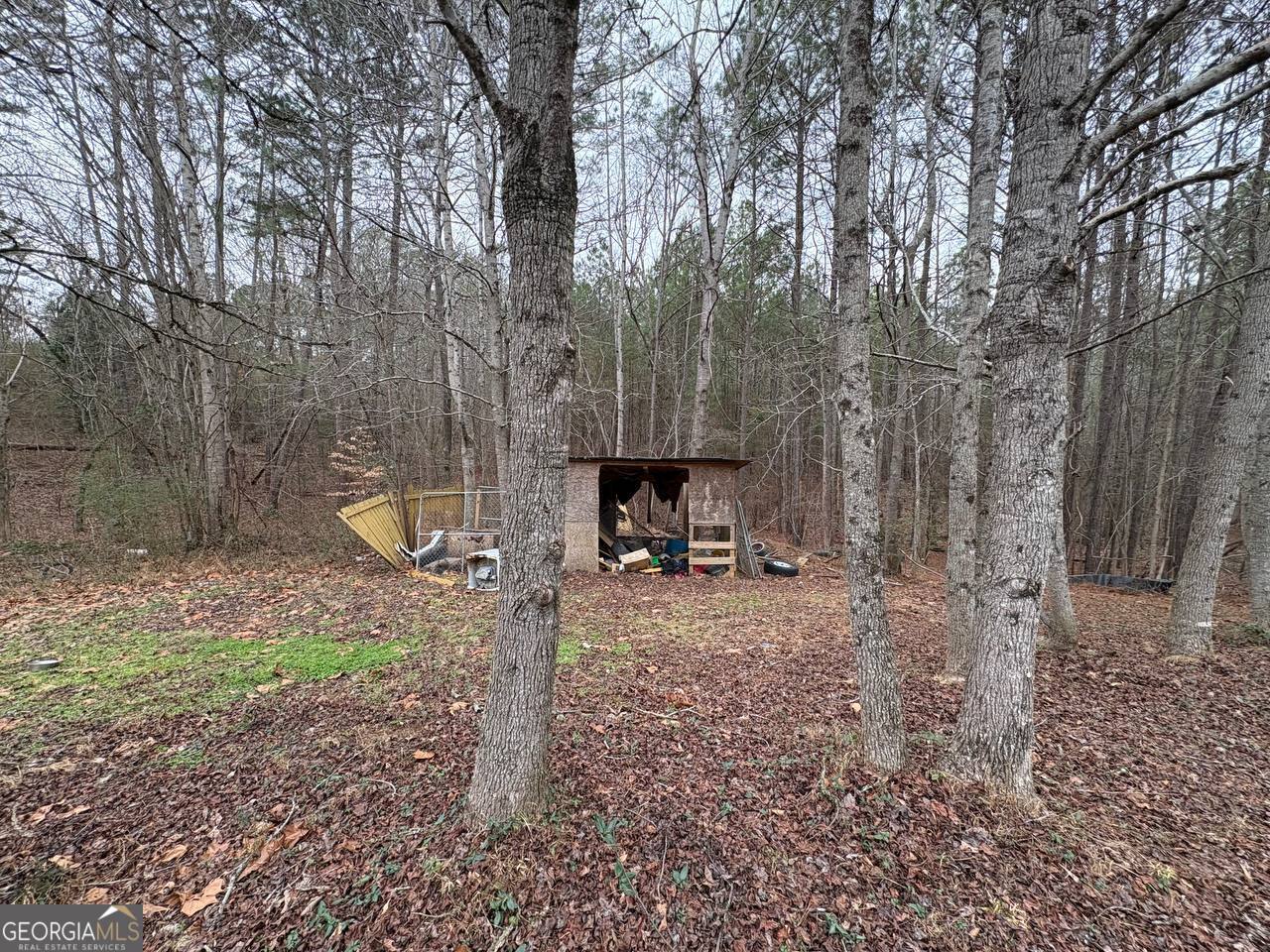 798 Williamson Road Tallapoosa, GA 30176 - Photo 29 of 73 a backyard of a house with lots of green space