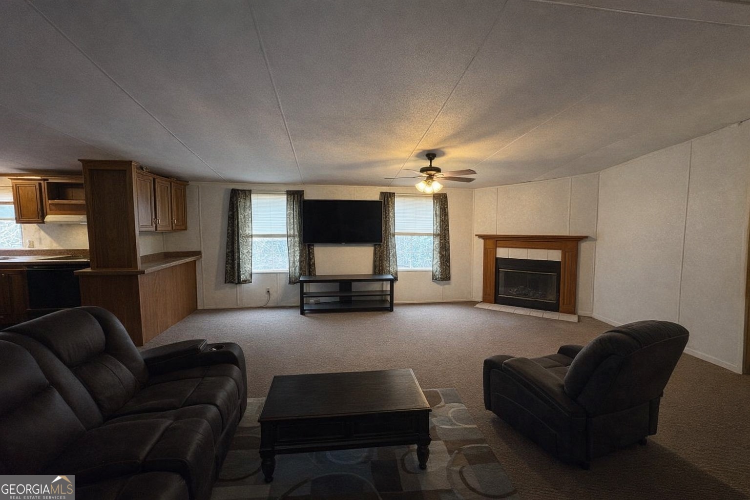 798 Williamson Road Tallapoosa, GA 30176 - Photo 34 of 73 a living room with furniture a fireplace and a flat screen tv