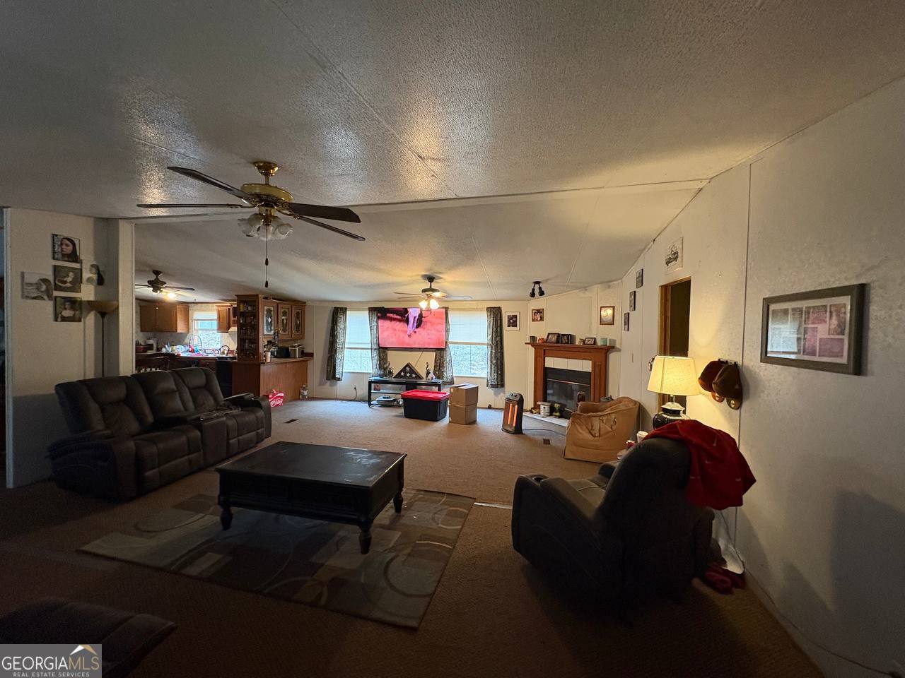 798 Williamson Road Tallapoosa, GA 30176 - Photo 37 of 73 a living room with fireplace furniture and a wooden floor