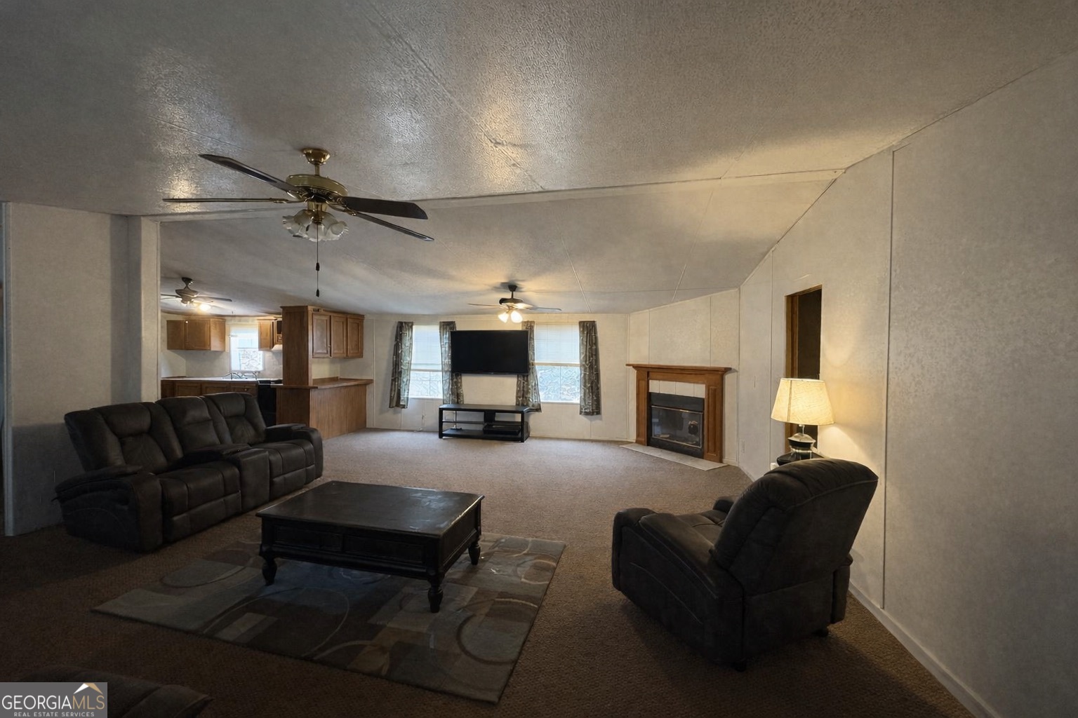 798 Williamson Road Tallapoosa, GA 30176 - Photo 49 of 73 a living room with furniture a fireplace and a flat screen tv