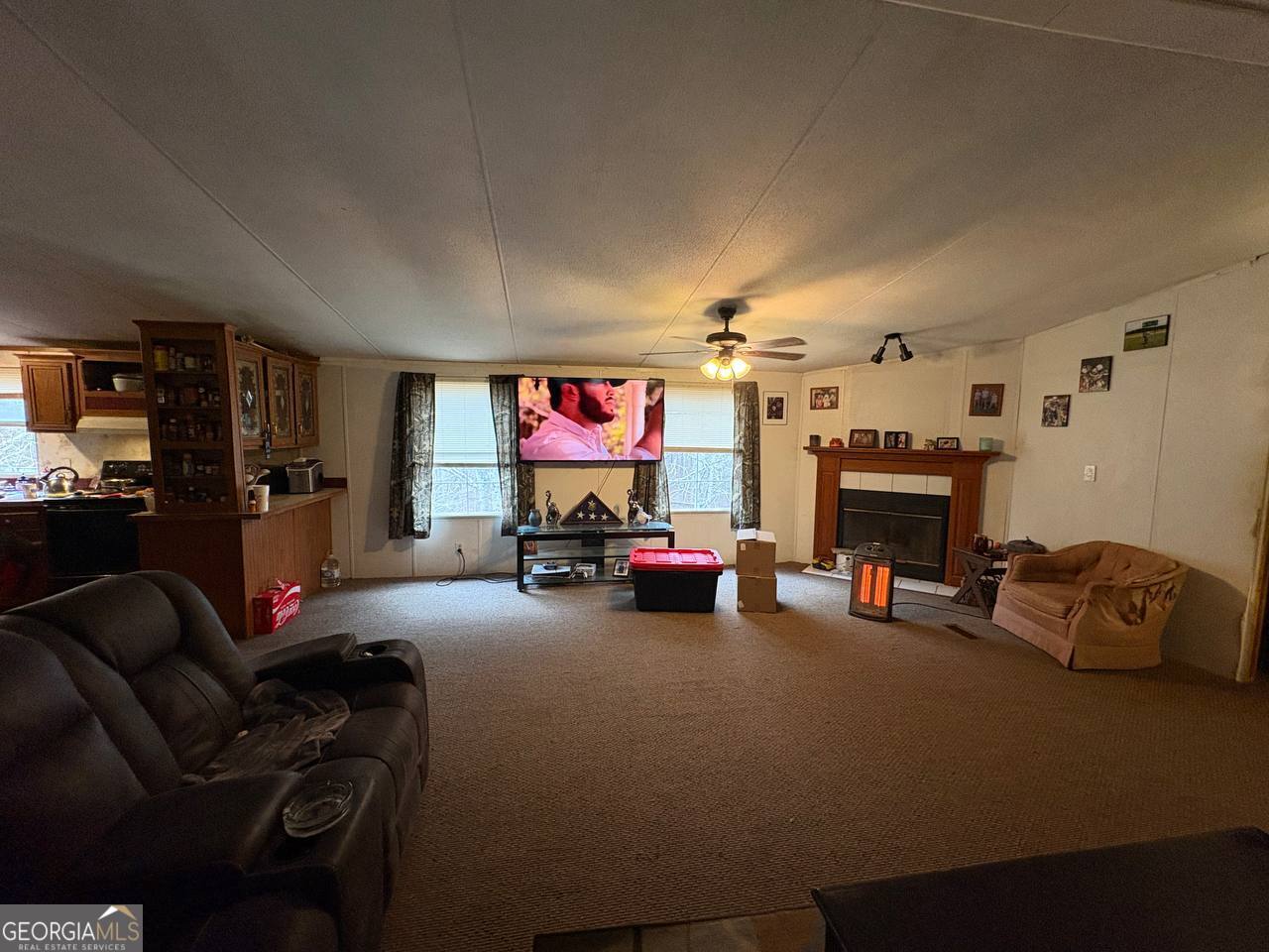 798 Williamson Road Tallapoosa, GA 30176 - Photo 71 of 73 a living room with furniture and a fireplace