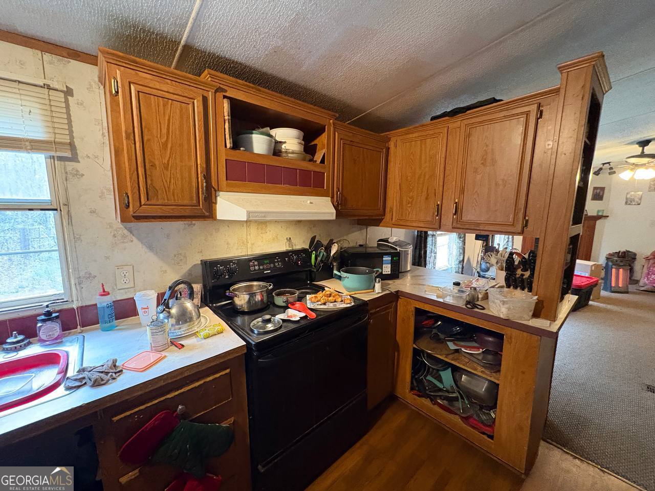 798 Williamson Road Tallapoosa, GA 30176 - Photo 10 of 73 a kitchen with a stove and a sink