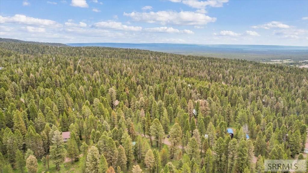 4158 Beaver Springs Road Island Park, ID 83429 - Photo 56 of 62