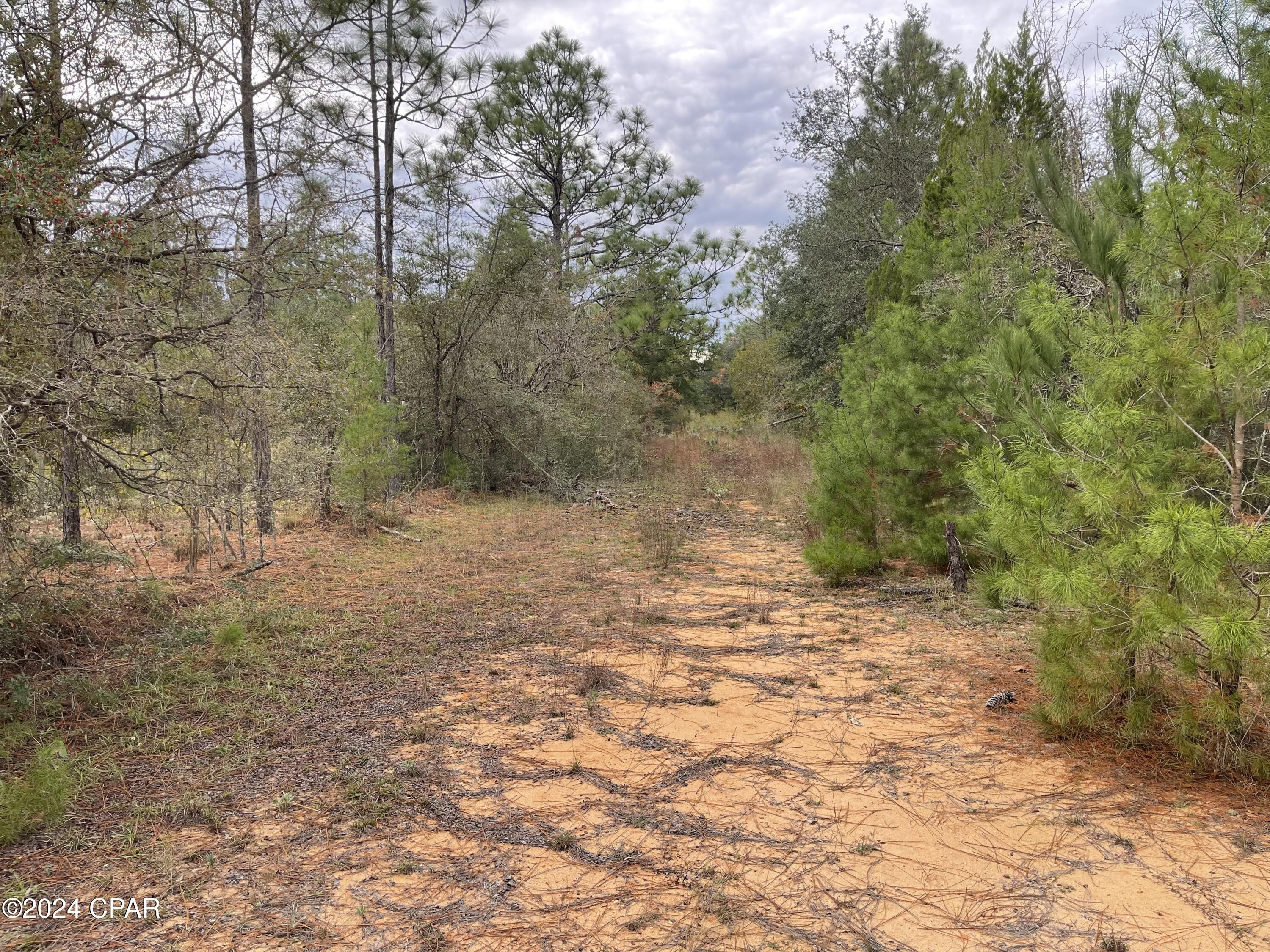 0 Union Hill Road Caryville, FL 32425 - Photo 6 of 11 Gallery Image 6