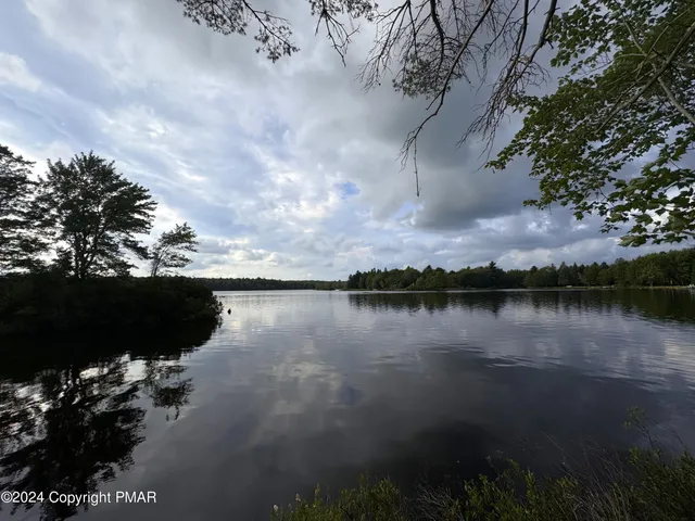 a view of a lake from a yard