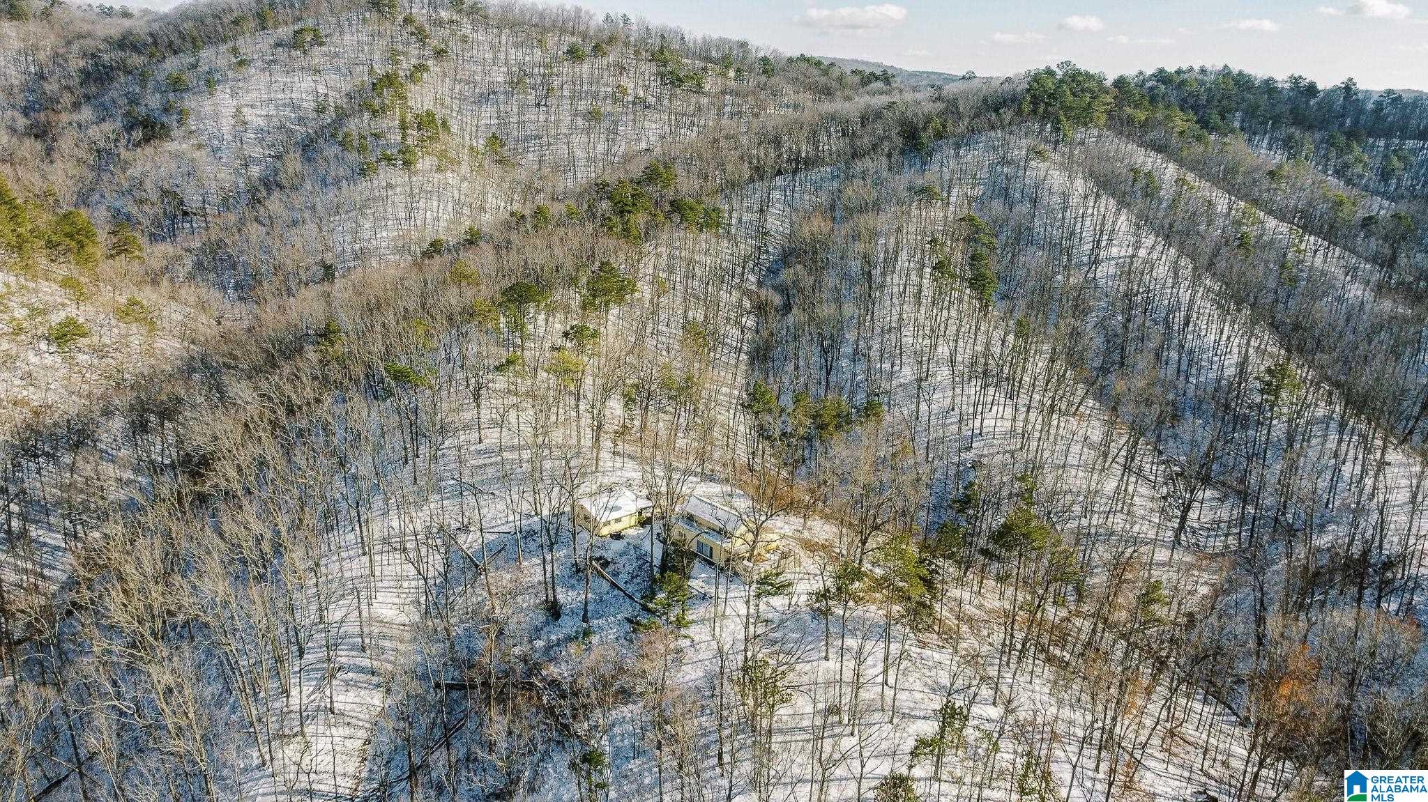 5325 Union T Road Talladega, AL 35160 - Photo 80 of 83