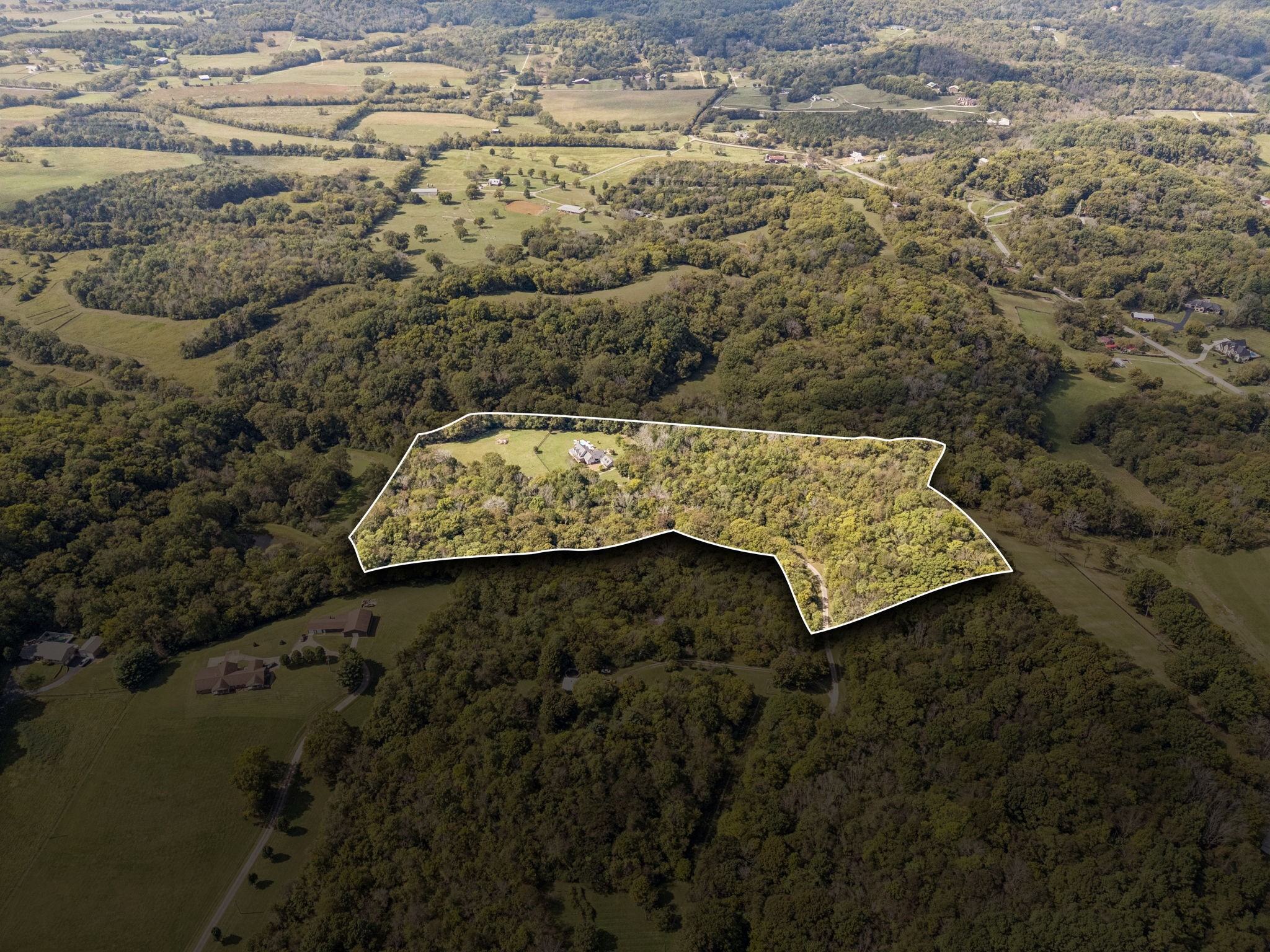 1909 Dr Robinson Rd Spring Hill Thompson's Station, TN 37179 - Photo 13 of 72 a view of a dry yard with green space