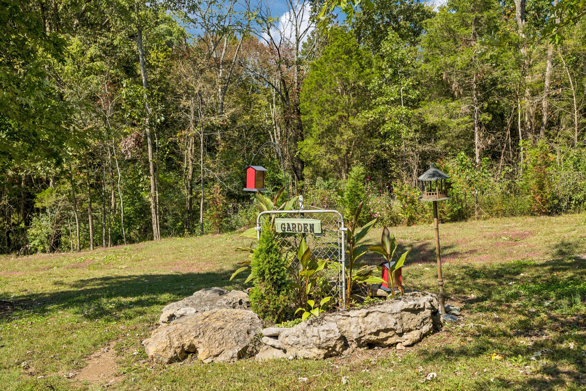 1909 Dr Robinson Rd Spring Hill Thompson's Station, TN 37179 - Photo 61 of 72 a view of a yard with plants and trees