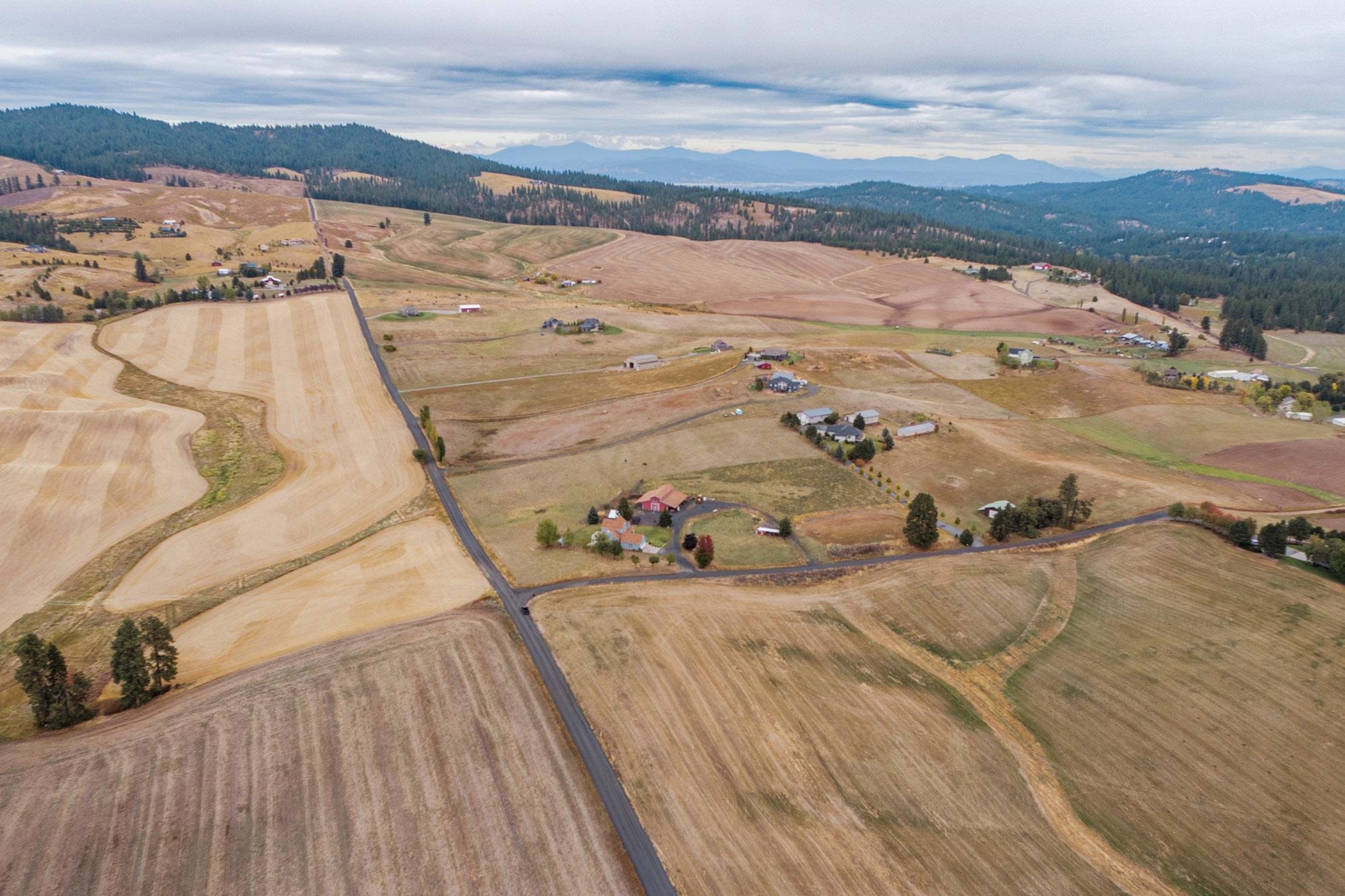 9906 East Gibbs Road Valleyford, WA 99036 - Photo 35 of 48 Gallery Image 35