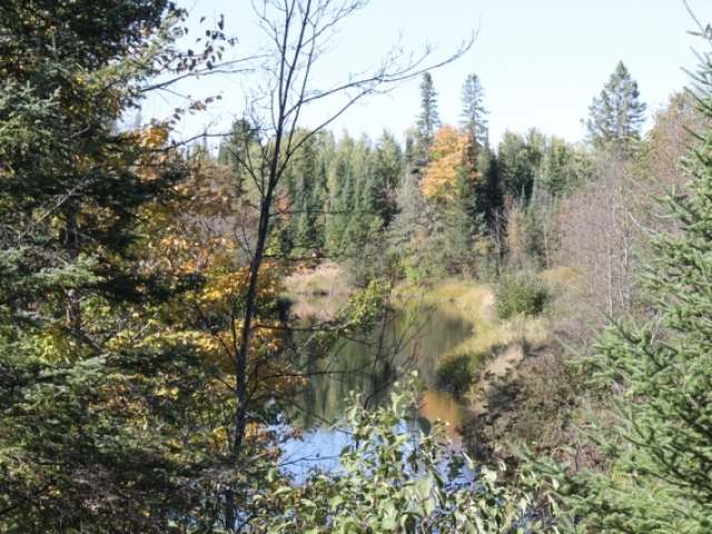 Lot 2 West Turtle Rpds Lane Mercer, WI 54547 - Photo 1 of 7 Gallery Image 1