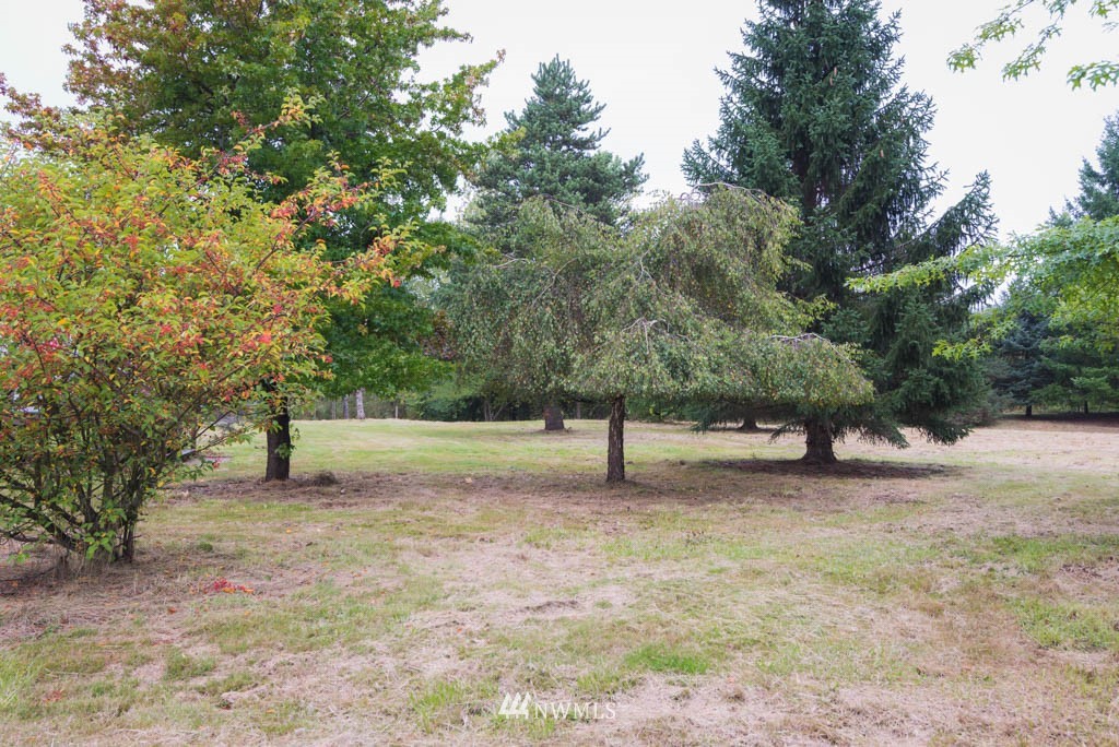 7905 Kickerville Road Blaine, WA 98230 - Photo 22 of 24 a view of a yard with a tree
