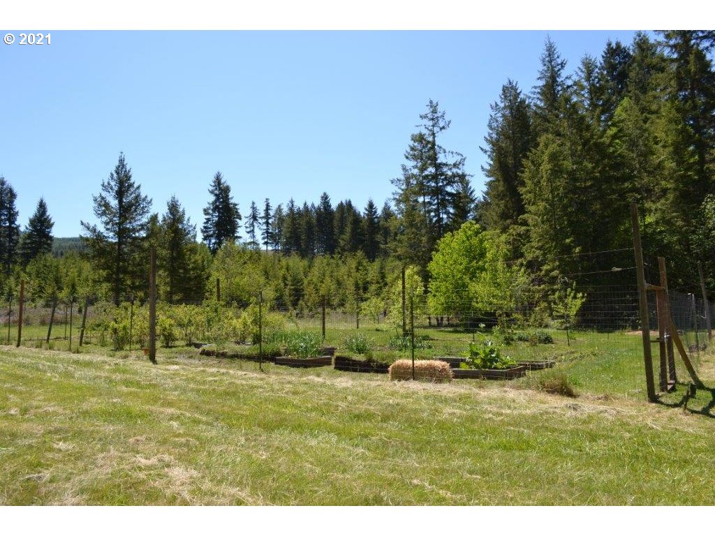40714 Mohawk River Road Marcola, OR 97454 - Photo 19 of 27 Gallery Image 19