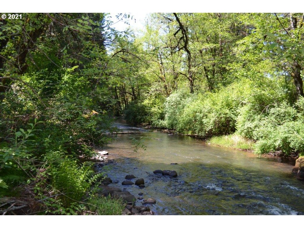 40714 Mohawk River Road Marcola, OR 97454 - Photo 24 of 27 Gallery Image 24