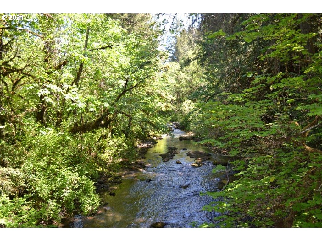 40714 Mohawk River Road Marcola, OR 97454 - Photo 25 of 27 Gallery Image 25