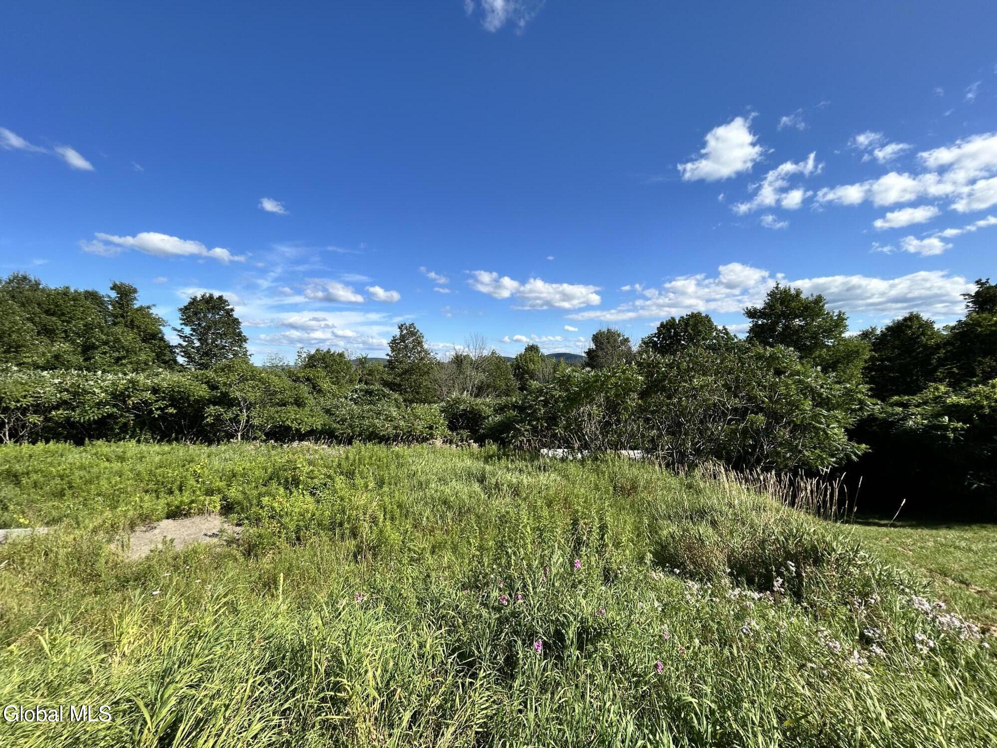 468 Myers Road Howes Cave, NY 12092 - Photo 12 of 45 IMG_0209