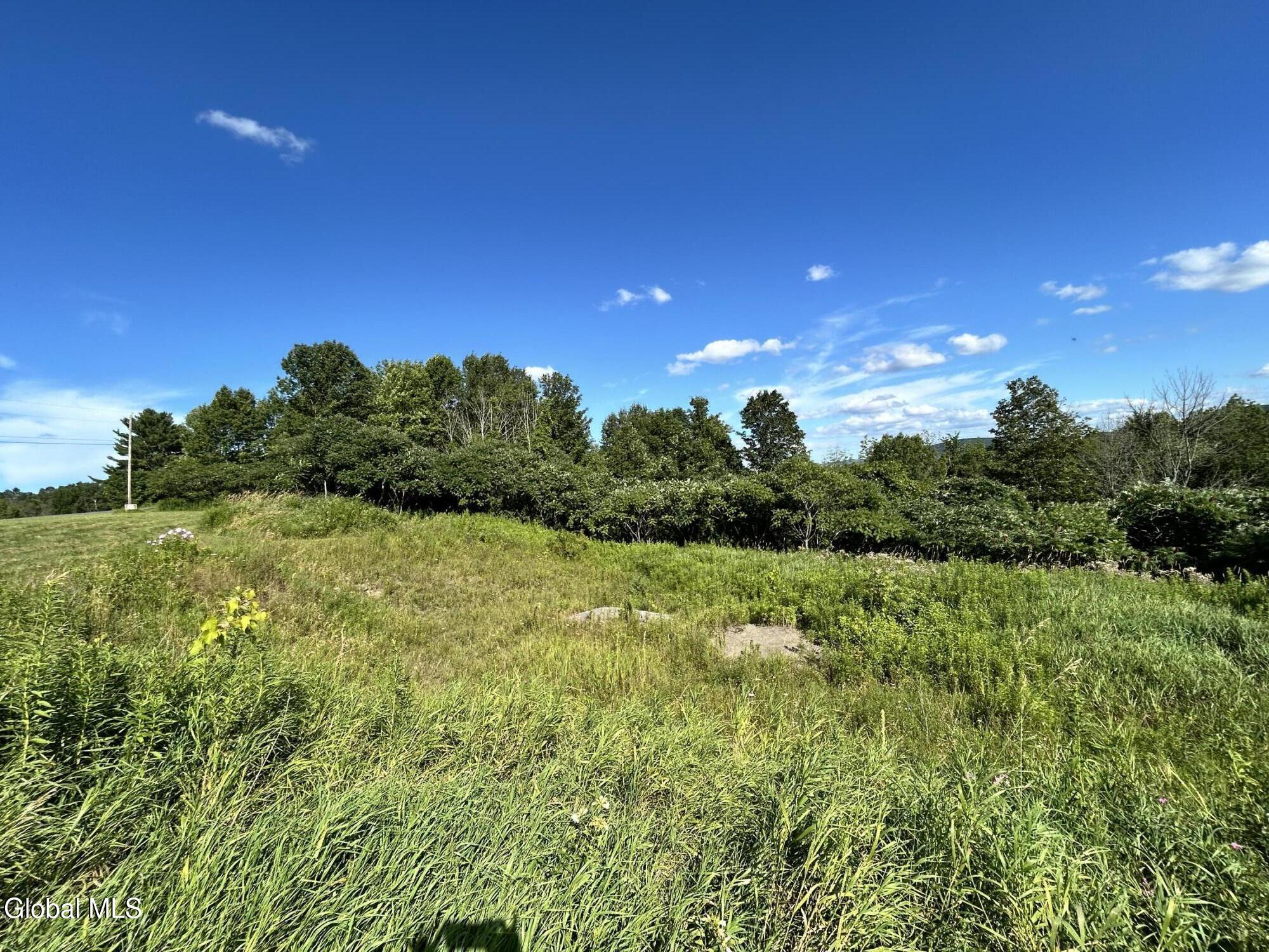 468 Myers Road Howes Cave, NY 12092 - Photo 13 of 45 IMG_0208