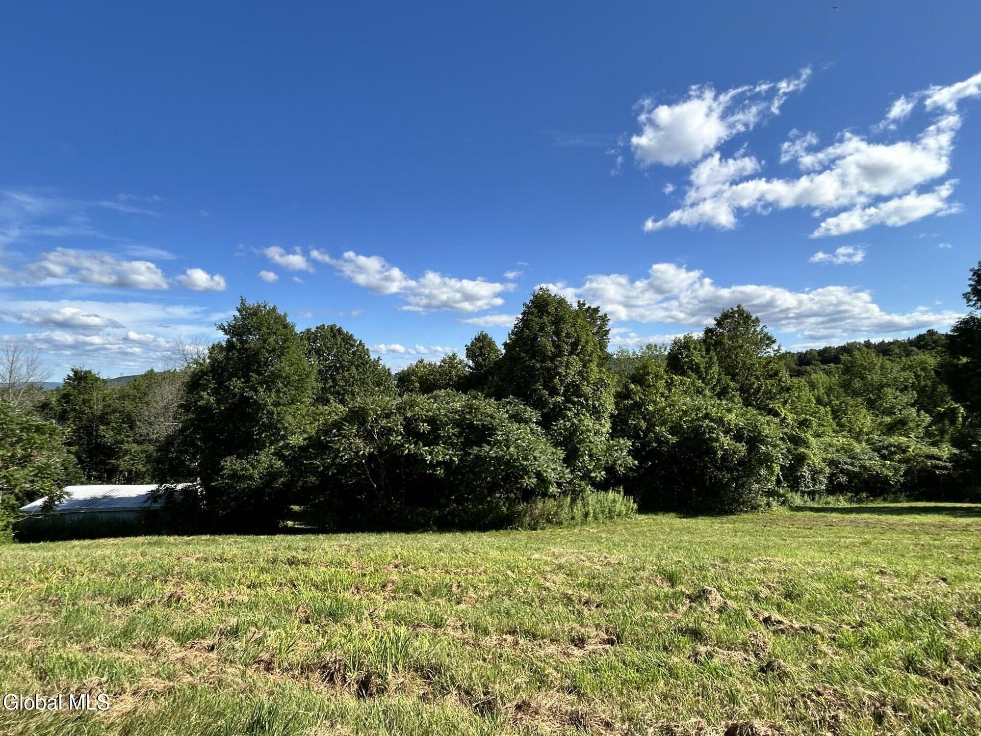 468 Myers Road Howes Cave, NY 12092 - Photo 15 of 45 IMG_0203