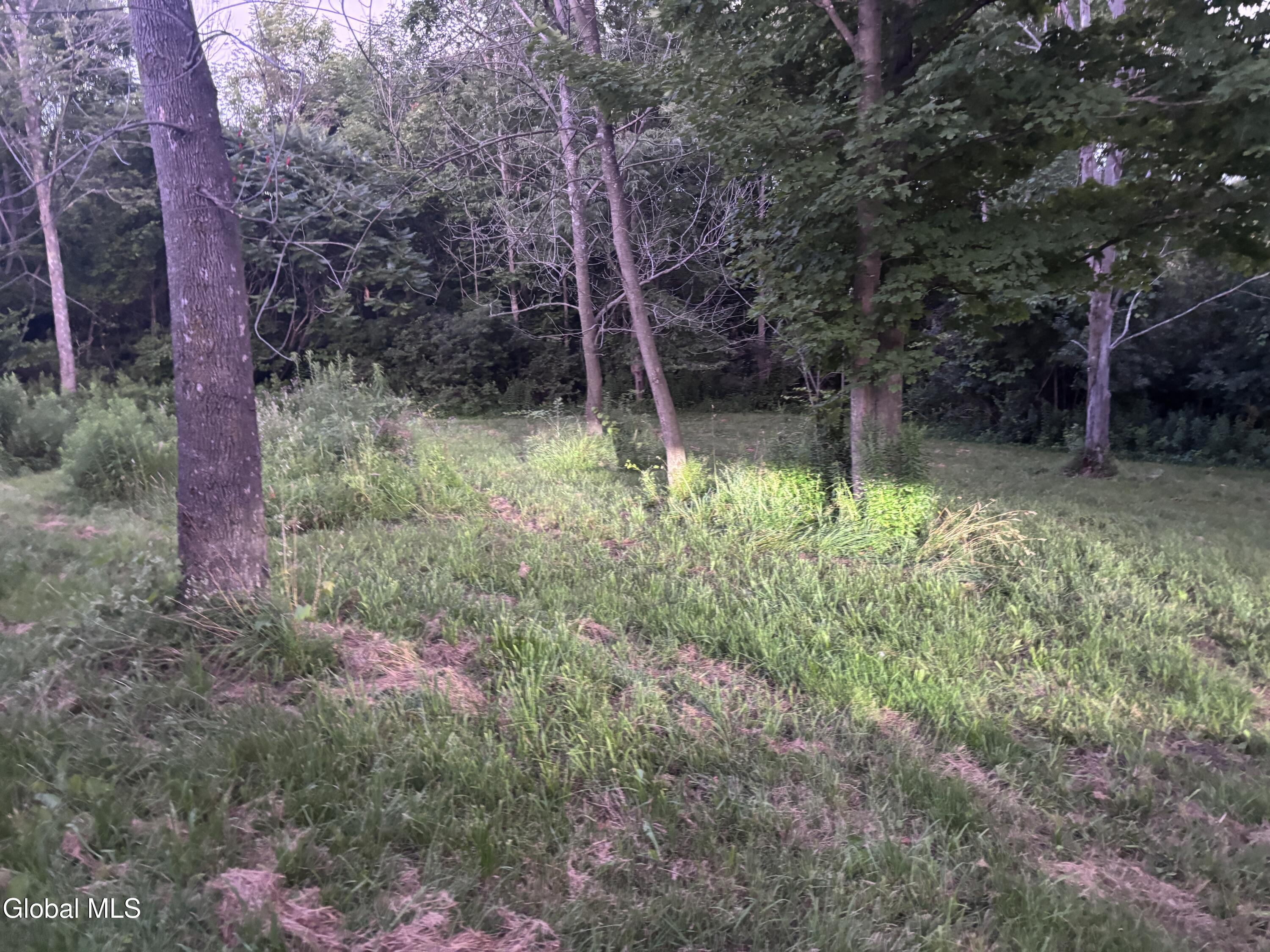 468 Myers Road Howes Cave, NY 12092 - Photo 16 of 45 IMG_1702