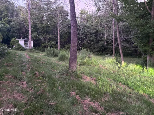 $75,000 | 468 Myers Road, Howes Cave, NY 12092