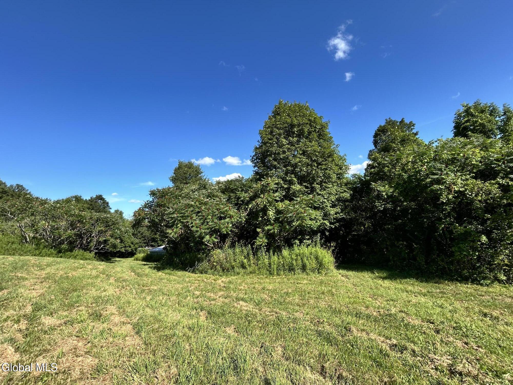 468 Myers Road Howes Cave, NY 12092 - Photo 20 of 45 IMG_0233