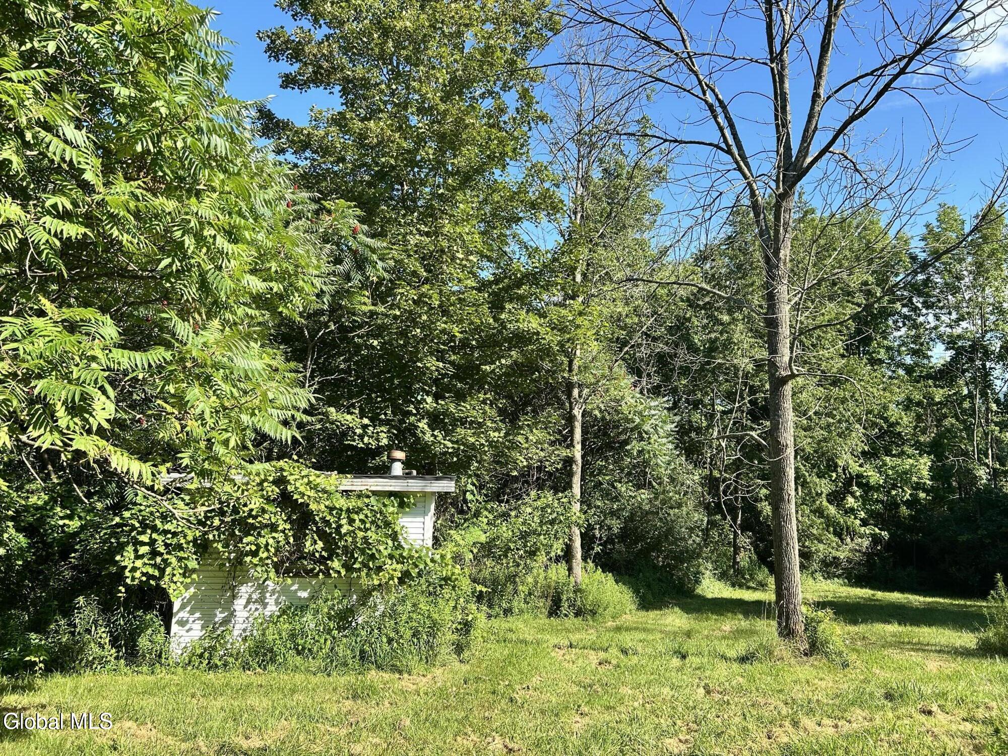 468 Myers Road Howes Cave, NY 12092 - Photo 37 of 45 IMG_0214