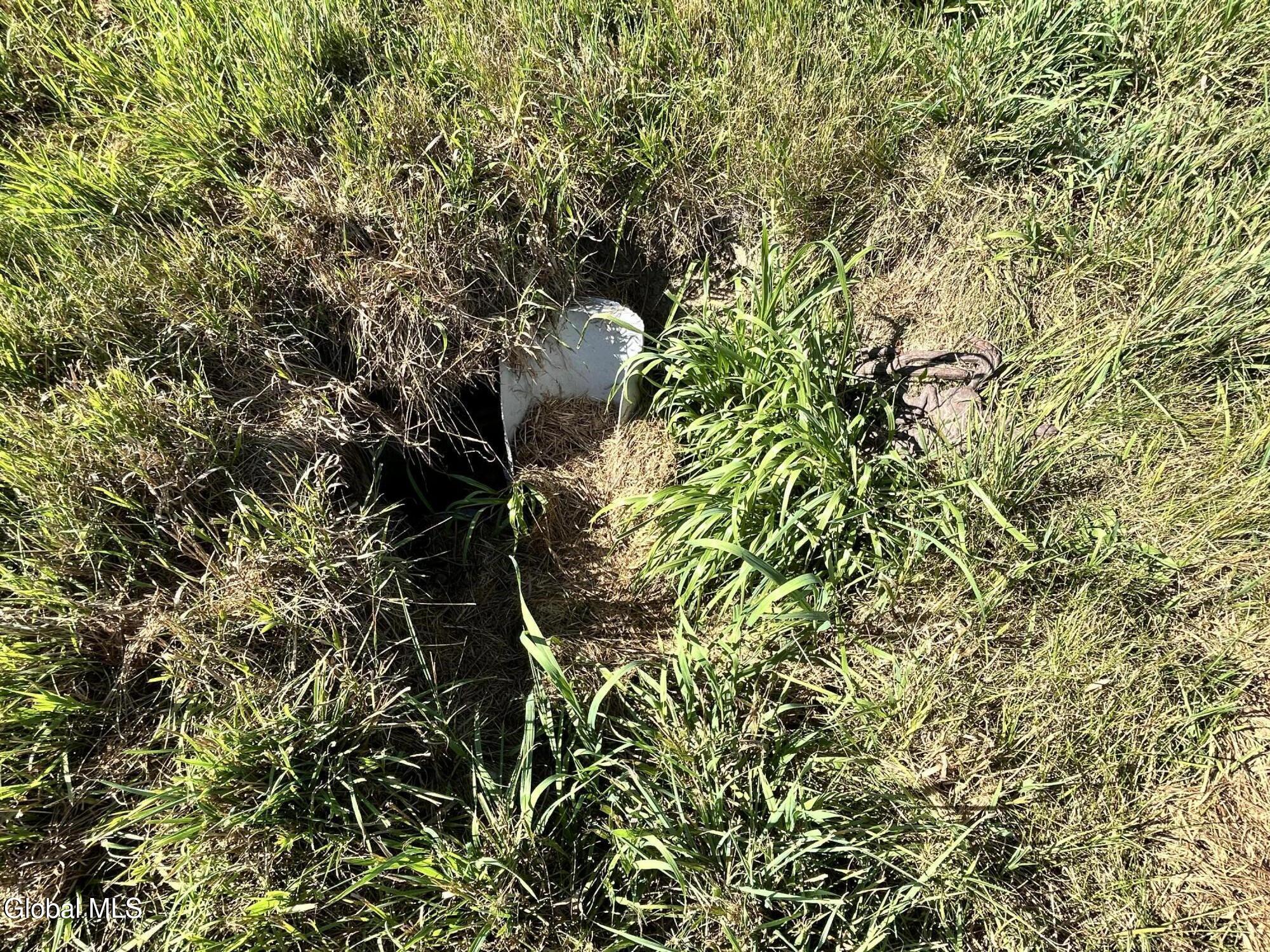 468 Myers Road Howes Cave, NY 12092 - Photo 42 of 45 IMG_0206